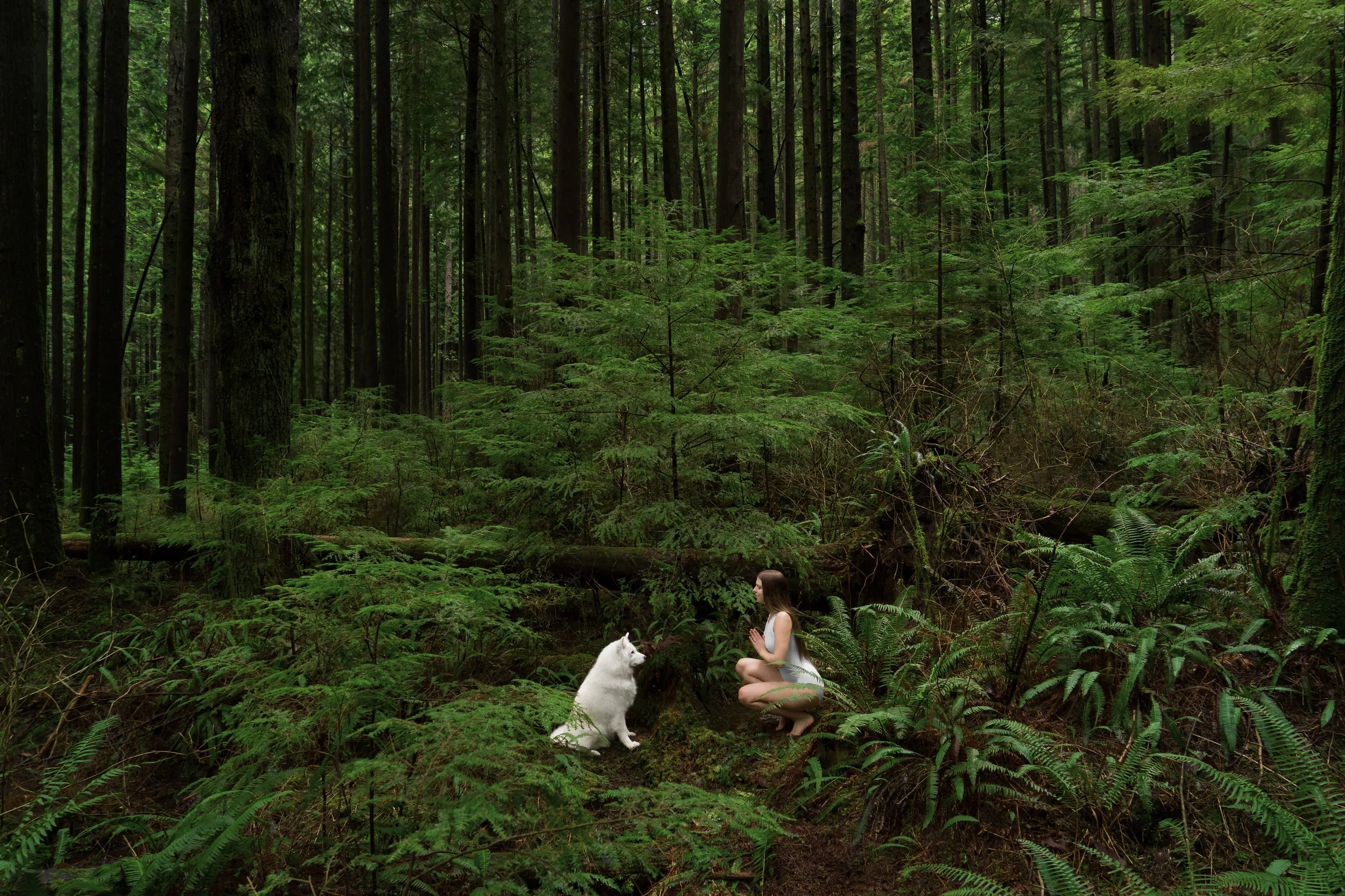 Devotion - Honouring of our deepest truths, respecting the ancient teachings of wildness within. 20x30"