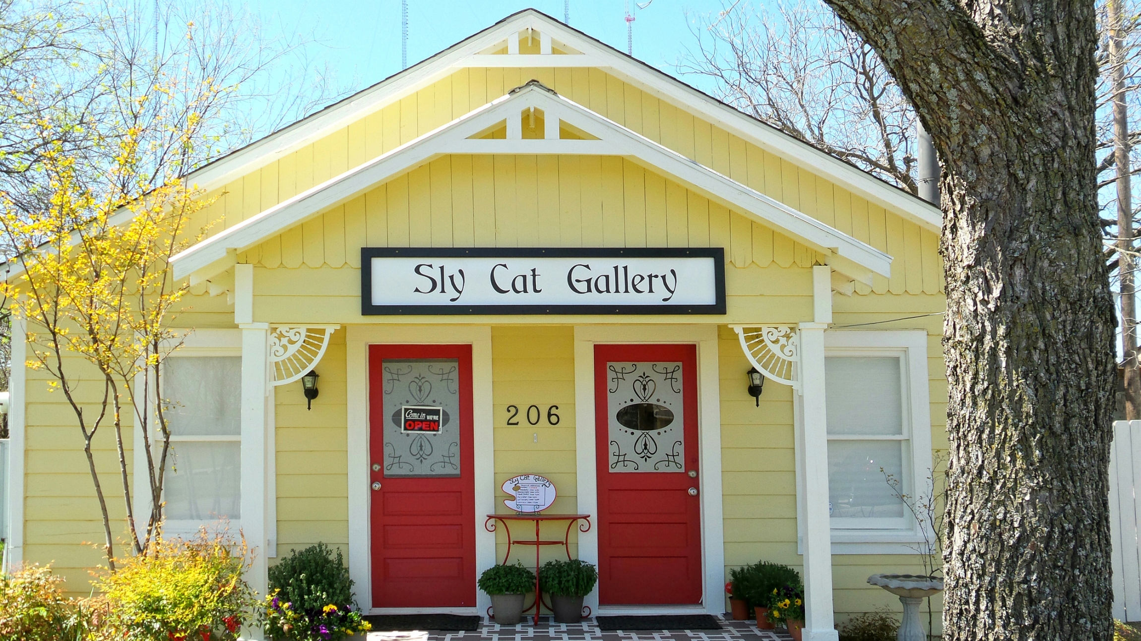 Sly Cat Gallery