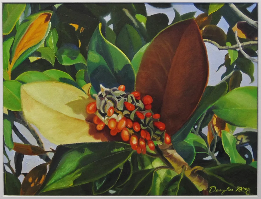 Magnolia Blossoms