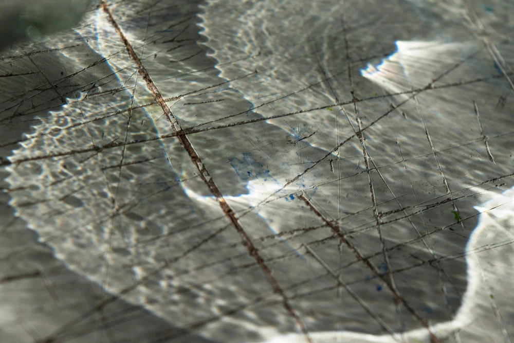 Texture of Light II