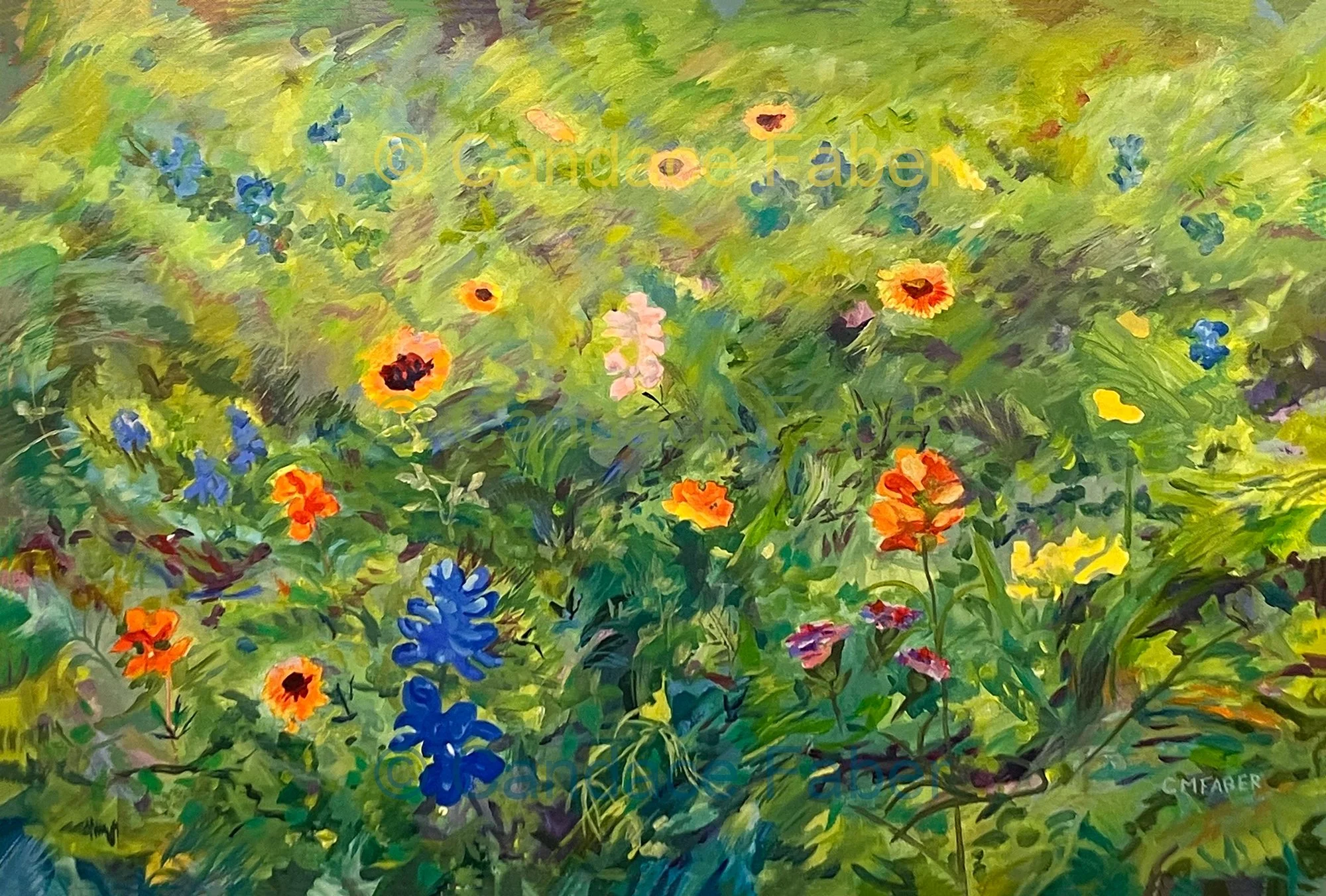 Meadow