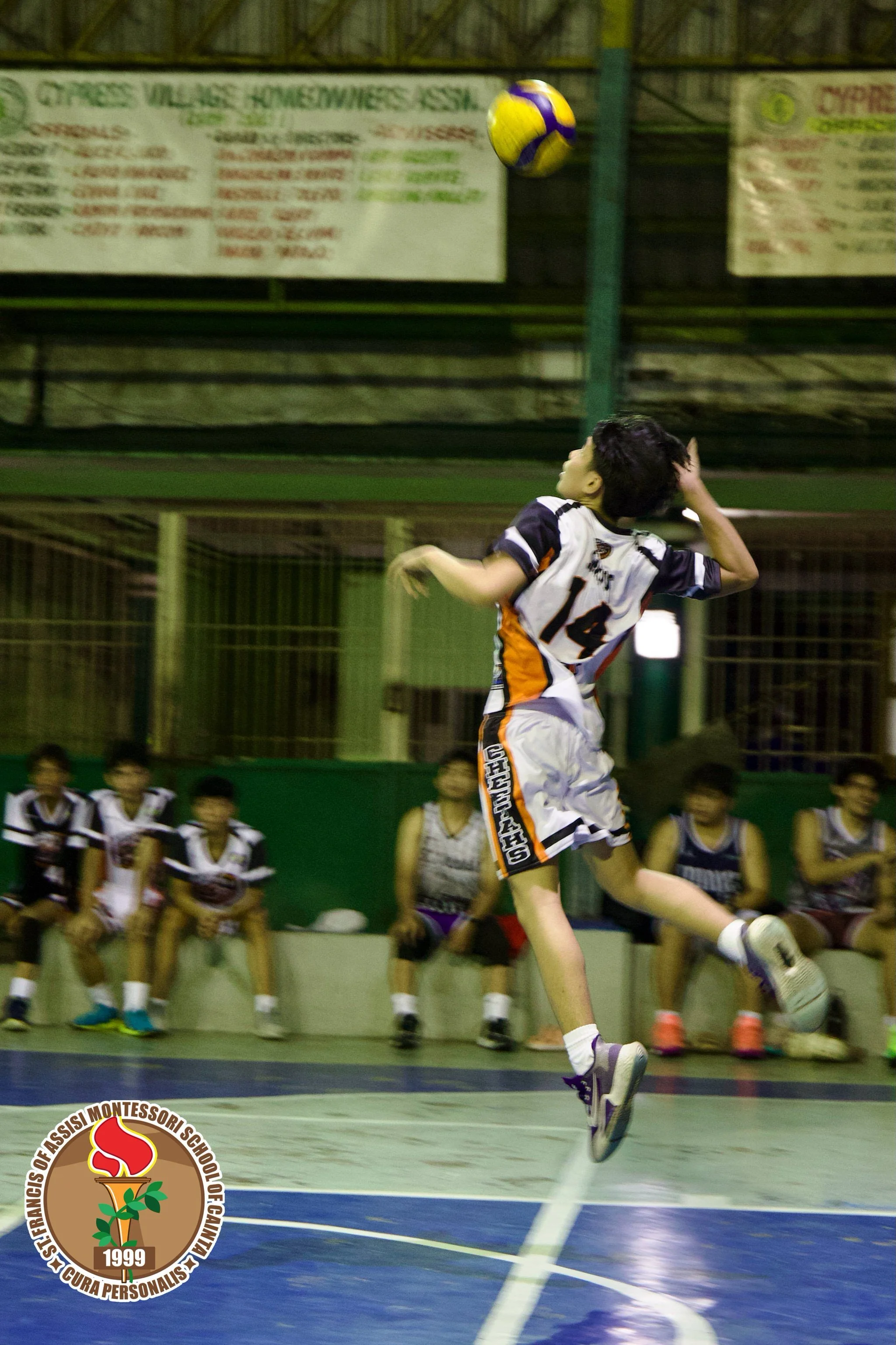 _FAC0629.jpg