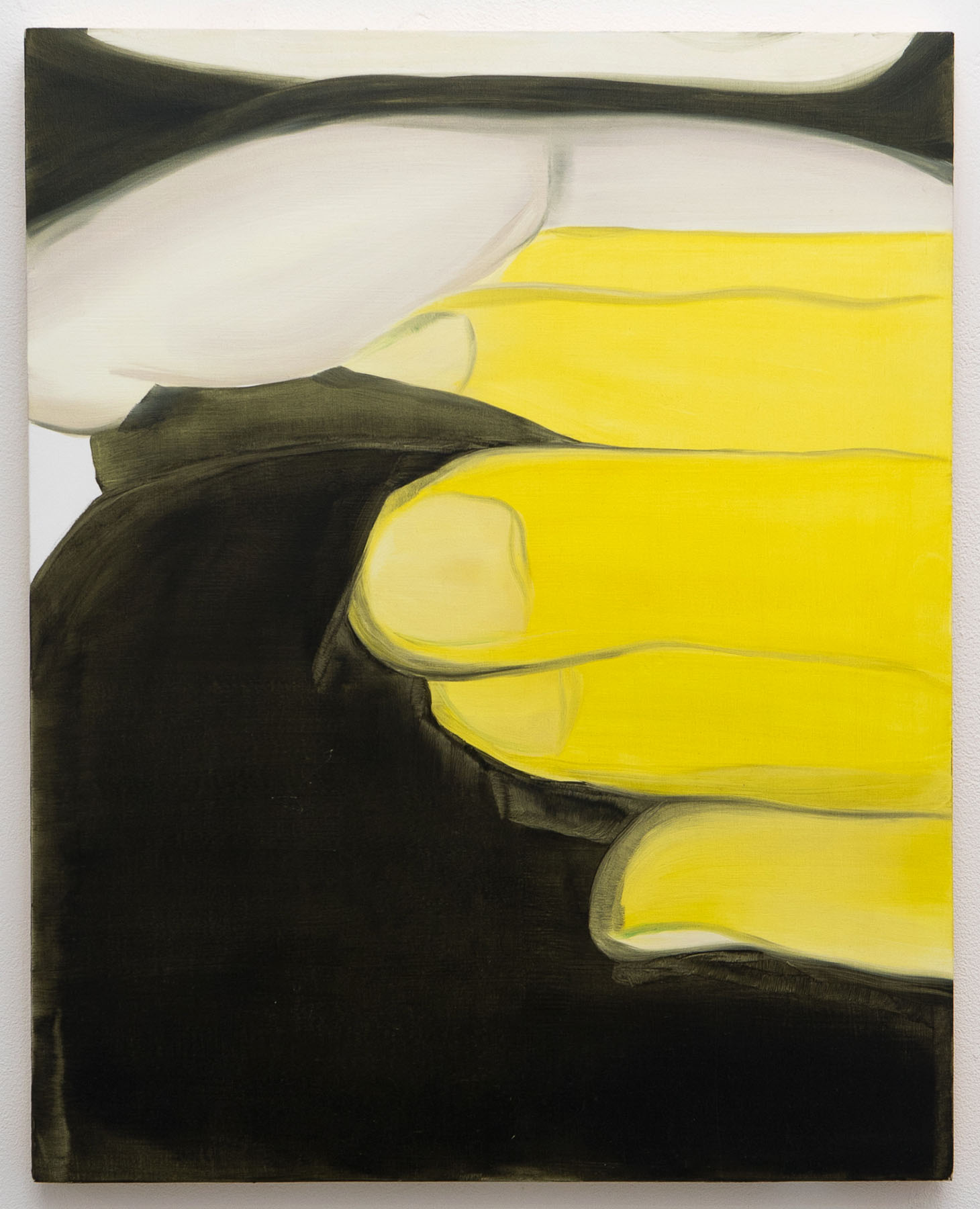 Squash, 40x60cm, oil on board, 2017