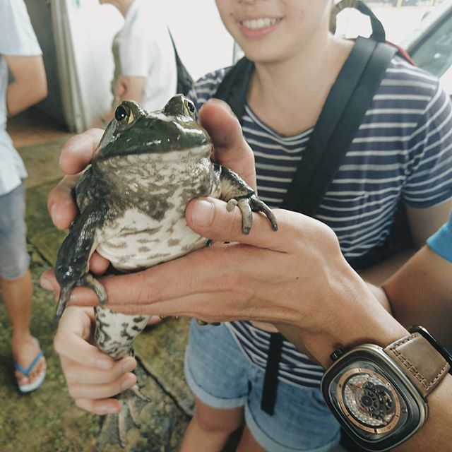 Waiting for my Prince! #frogfarm #sgfarming #farms #sgyoungfarmers #nextchapter