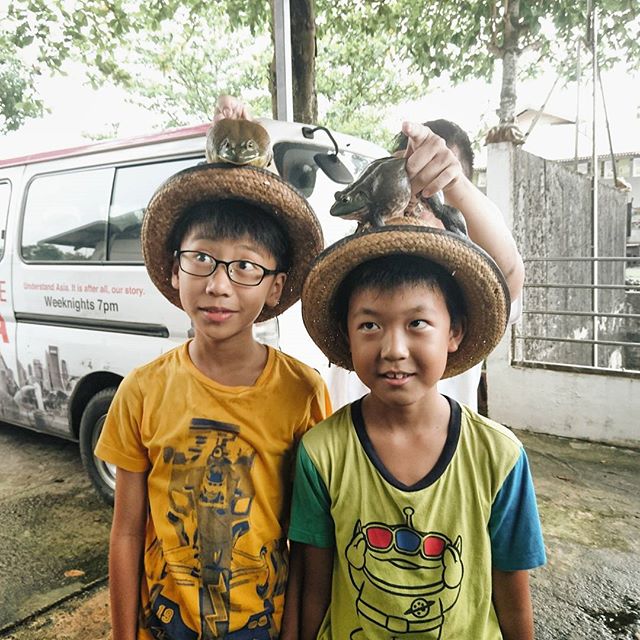 Is there something on my head? @jurongfrogfarm #sgfarming #sgyoungfarmers #farmsinsingapore #exploresingapore #farms
