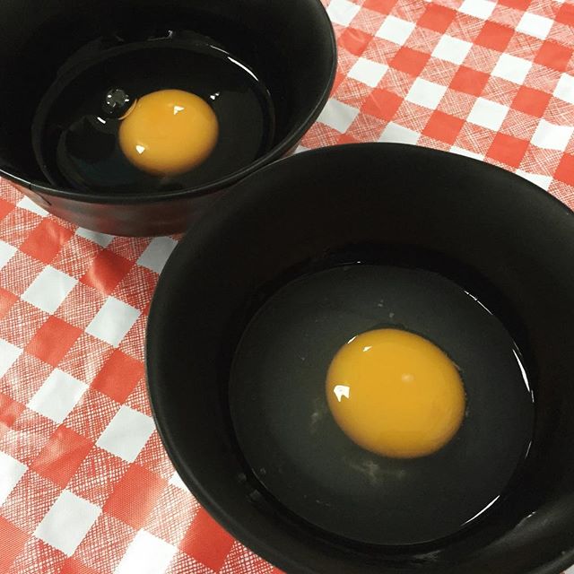 N&N is the only egg farm in Singapore to produce pasteurized eggs. The eggs go through a heating process to eliminate bacteria and viruses inside and outside the shell, meaning that you can enjoy runny, soft cooked, poached eggs without worrying about falling sick! The whites of pasteurized eggs are slightly cloudy due to the change in protein structure during the heating process. 🐔🍳