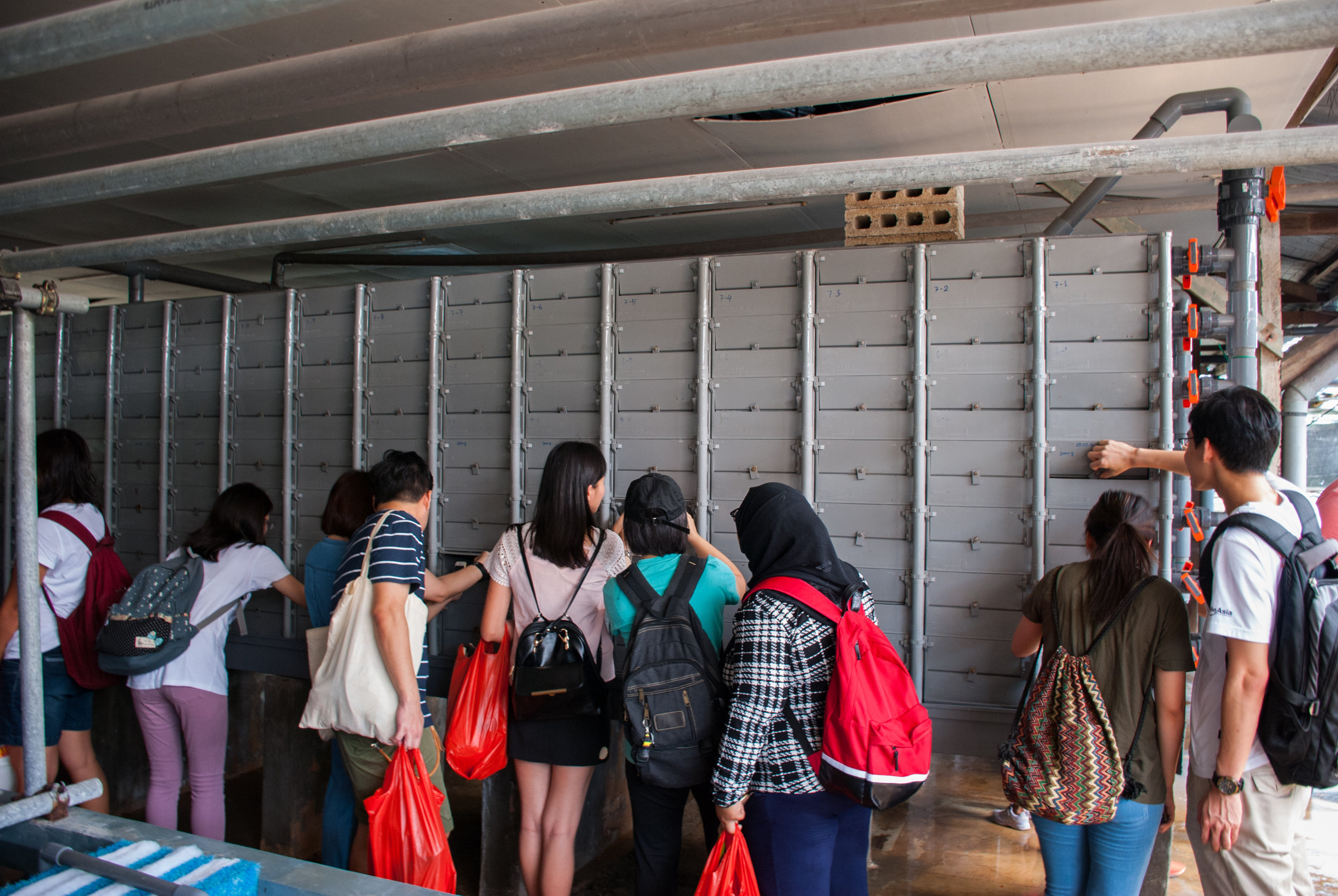 Curiosity sets in as the participants prepared to open the drawers to get a sneak peek of the crabs