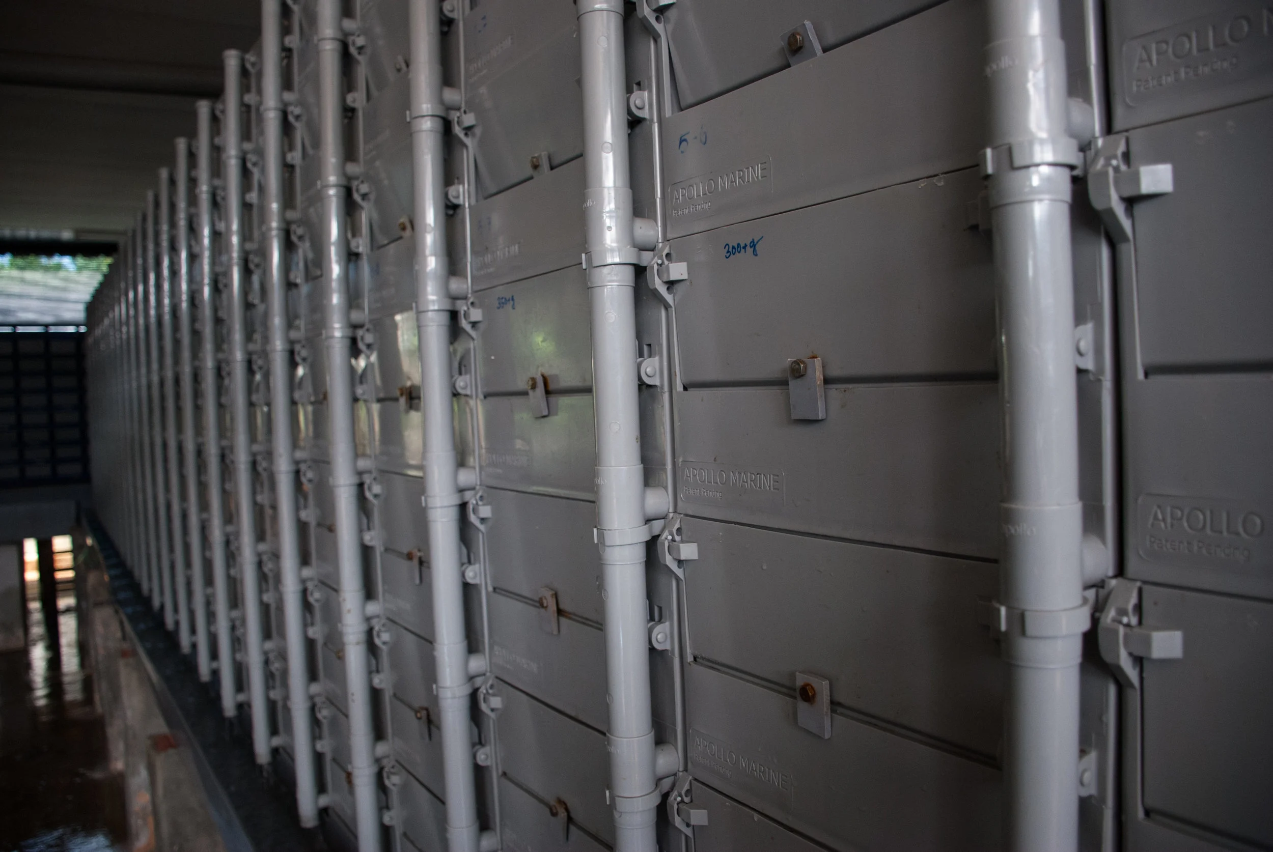 The calcium rich water is continuously flowed in and out of the drawers via pipes