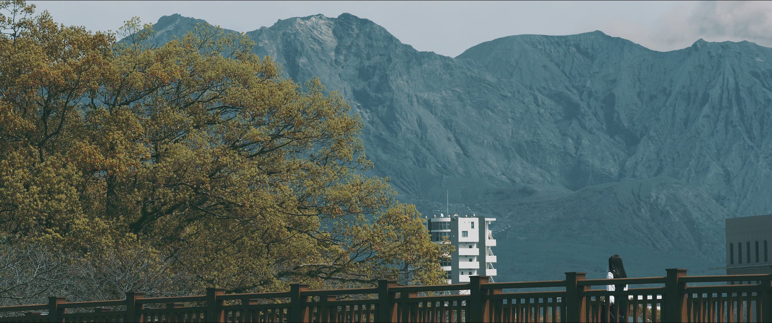 鞠婧祎 - 孤独与诗