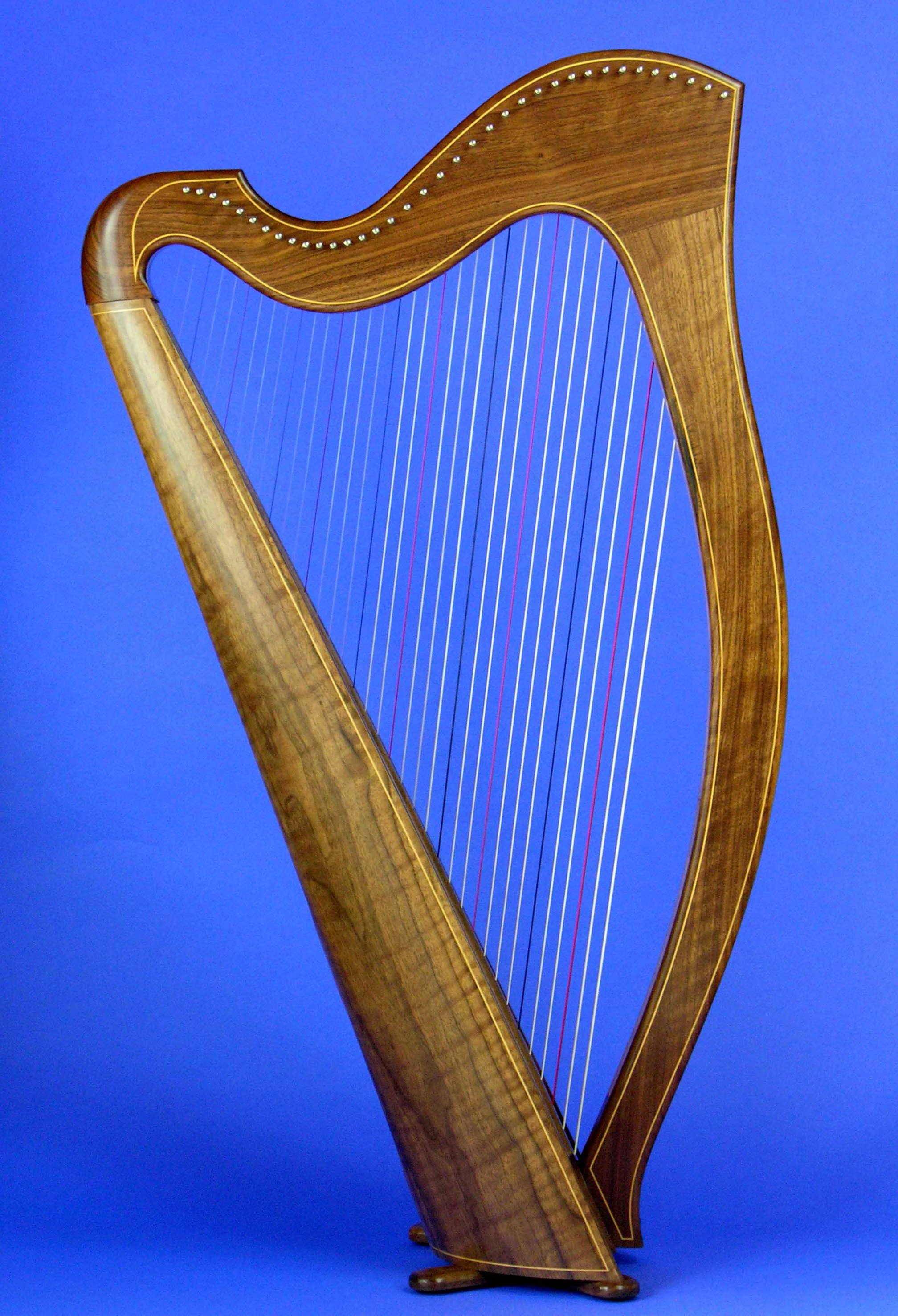 Norris Standard 36 String and Norris Round-Back 36 String