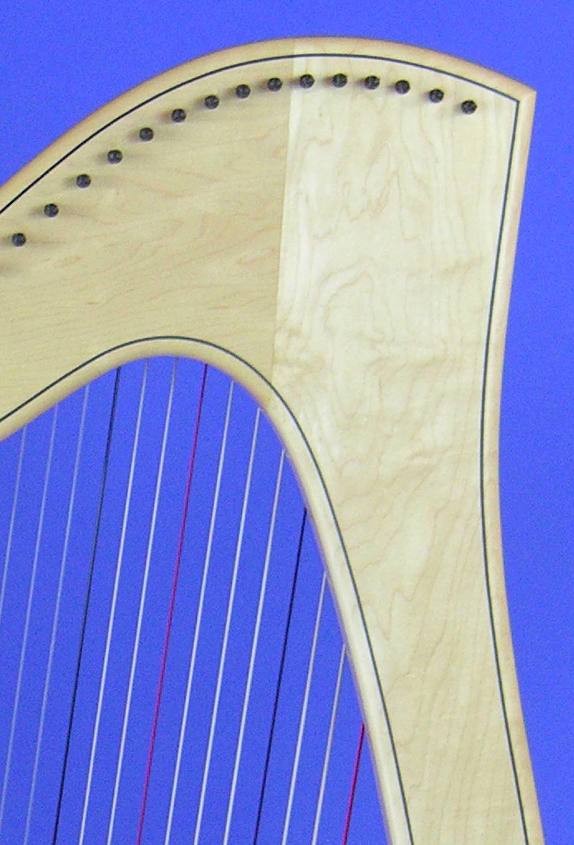 001 White Maple.jpg