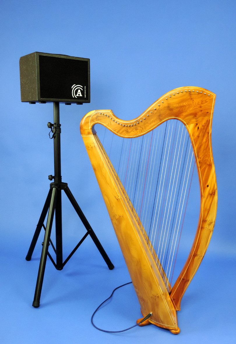 Harp Amp 002 medium.jpg