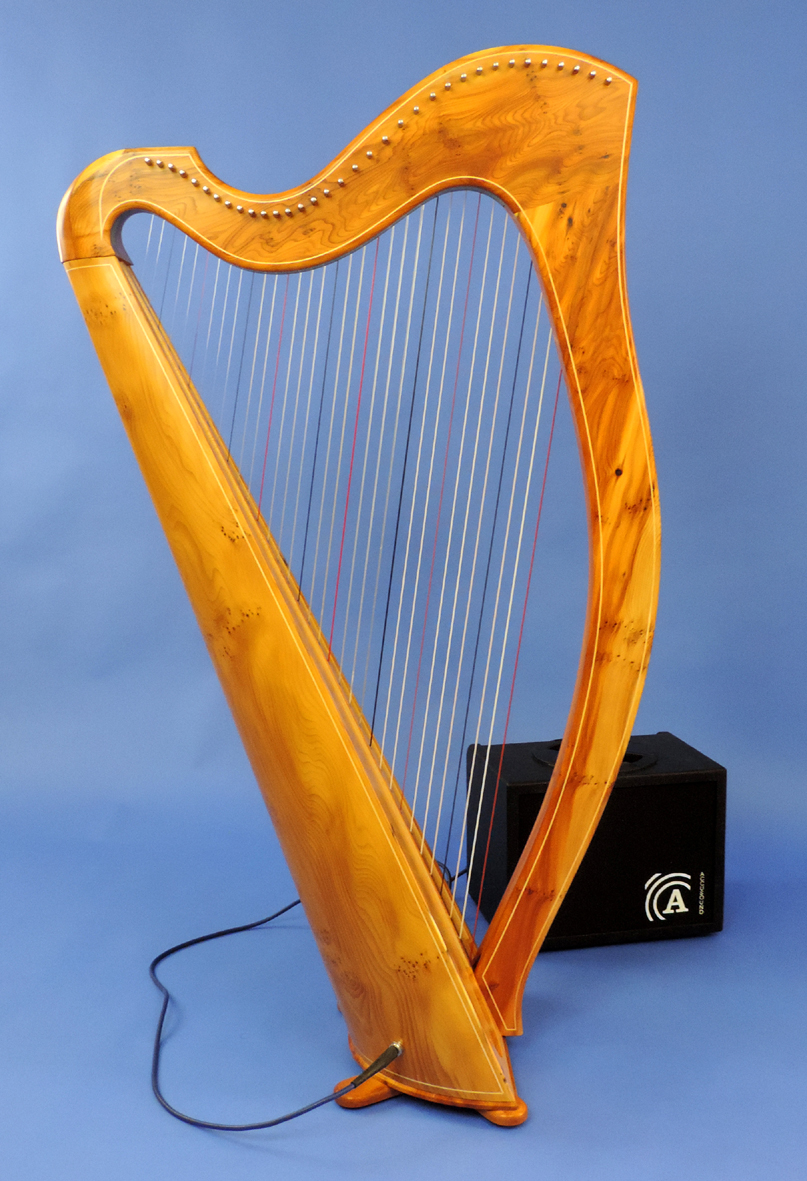 Electro-Acoustic Yew wood on Carbon Core