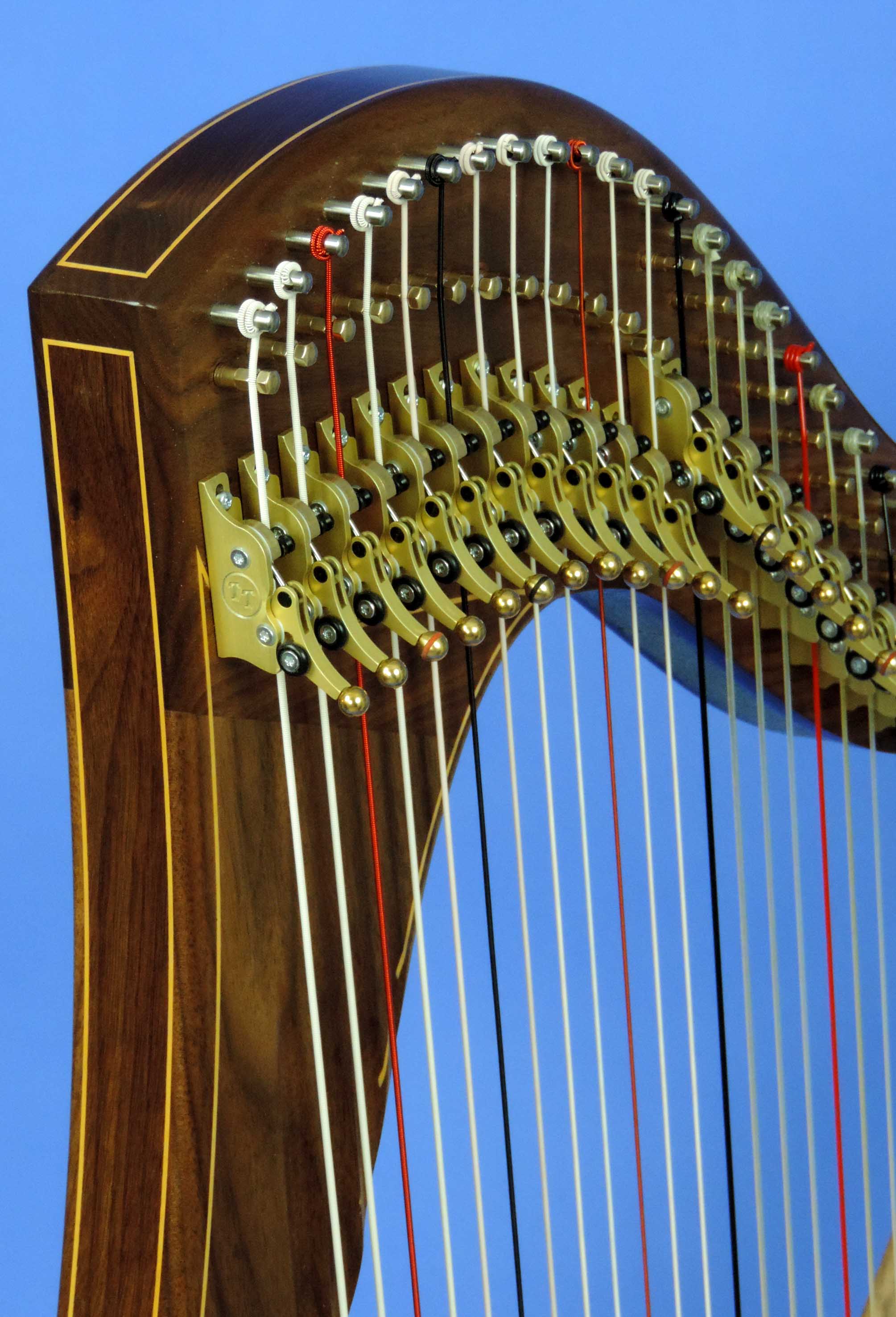 AA 36 String 005 fix.jpg
