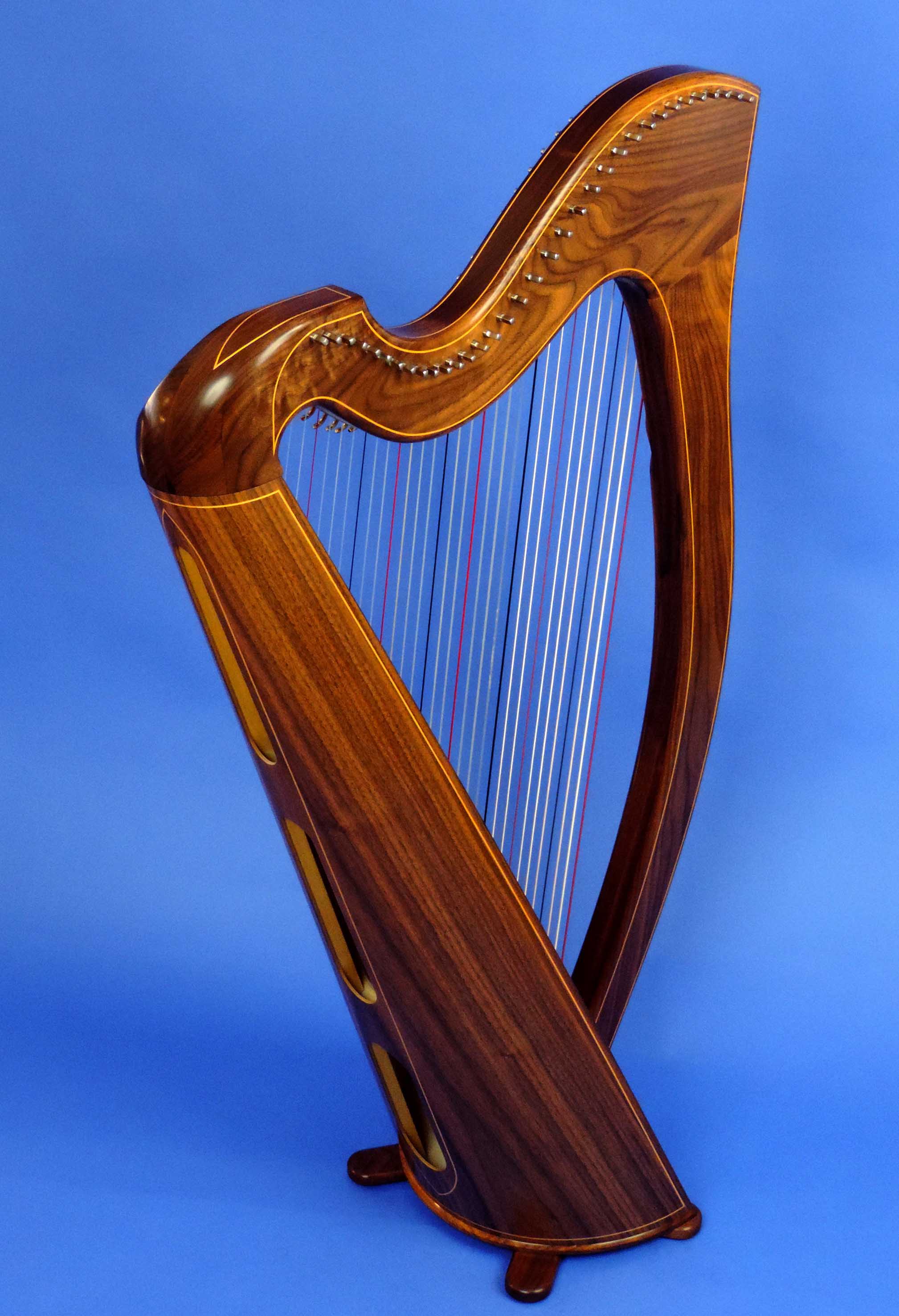 AA Jenny Harp 005.jpg