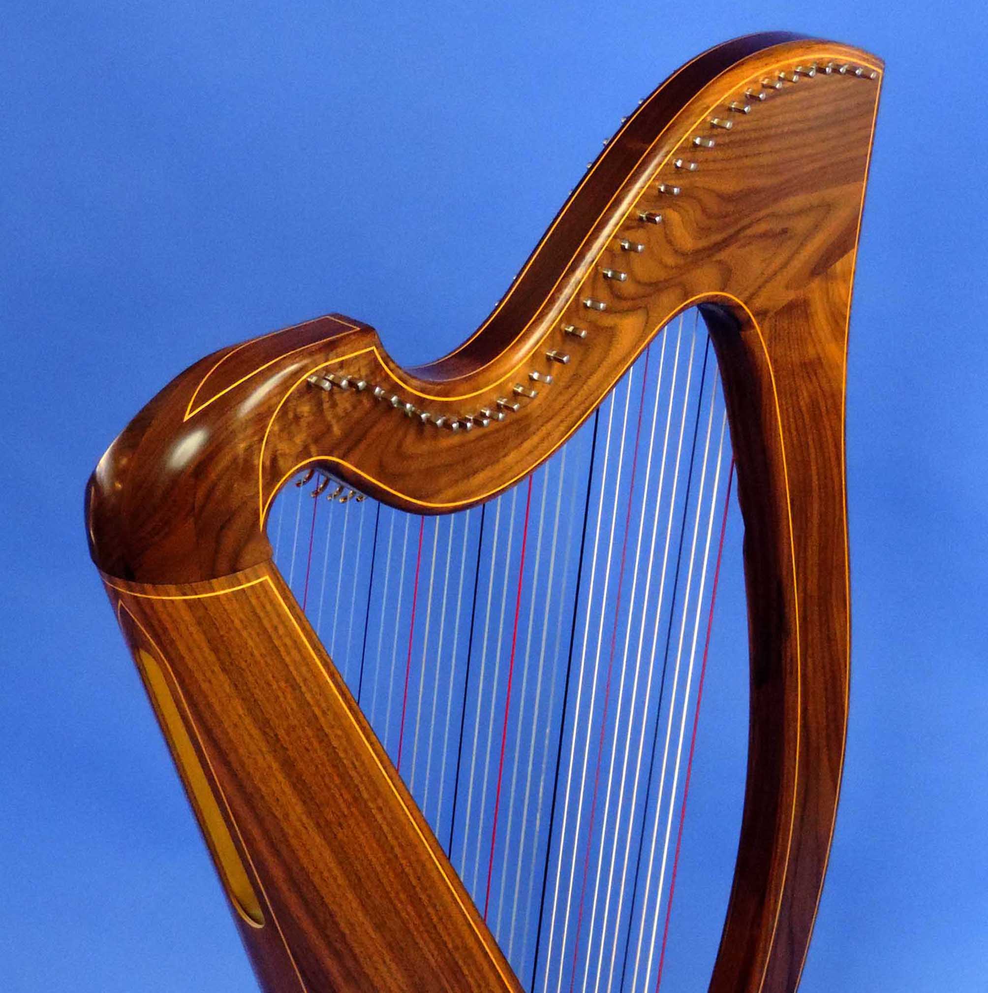 AA Jenny Harp 005 Square.jpg