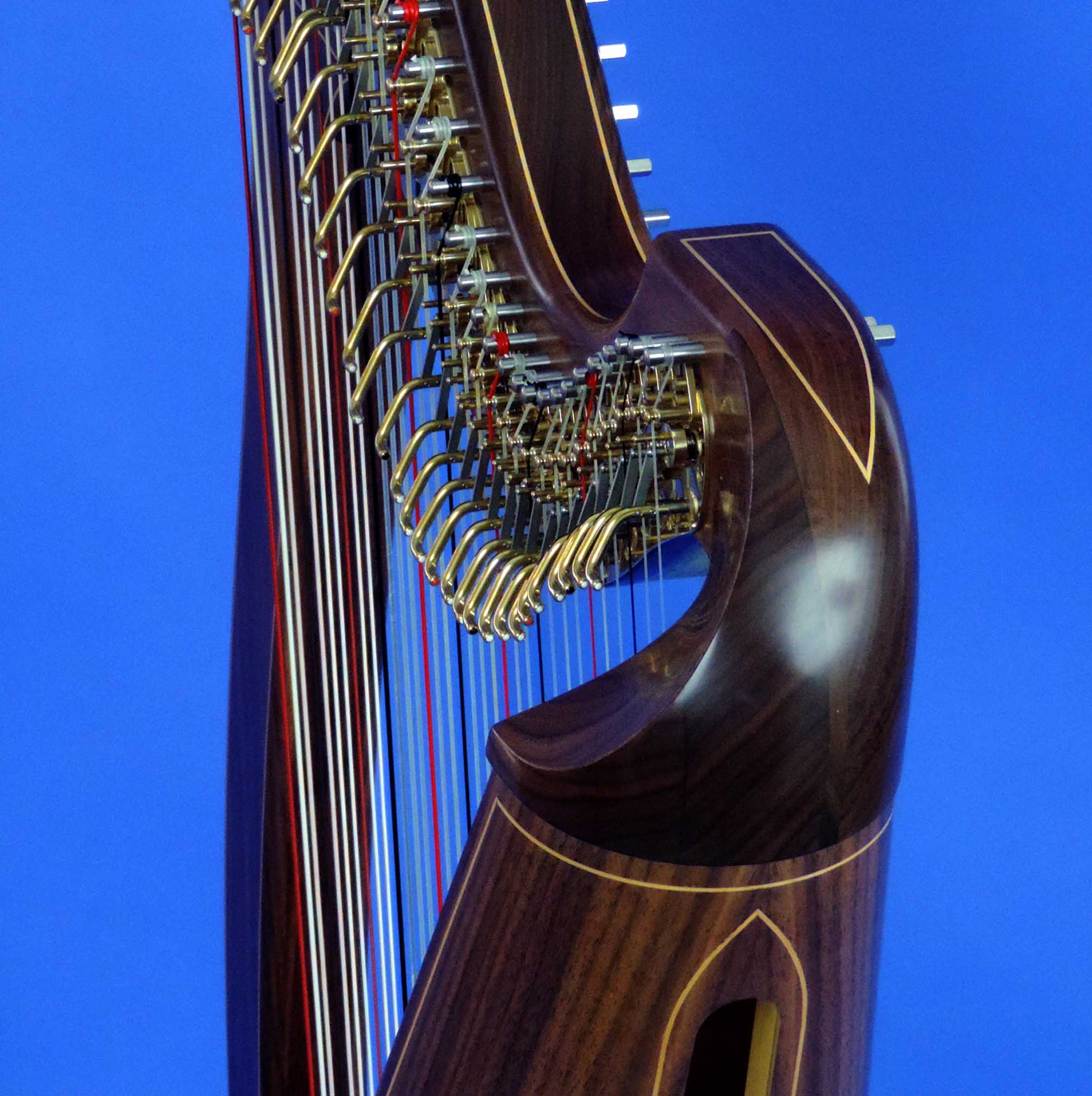 AA Jenny Harp 006 Square.jpg