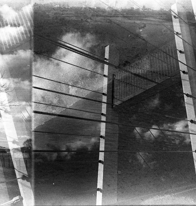 img137.jpg