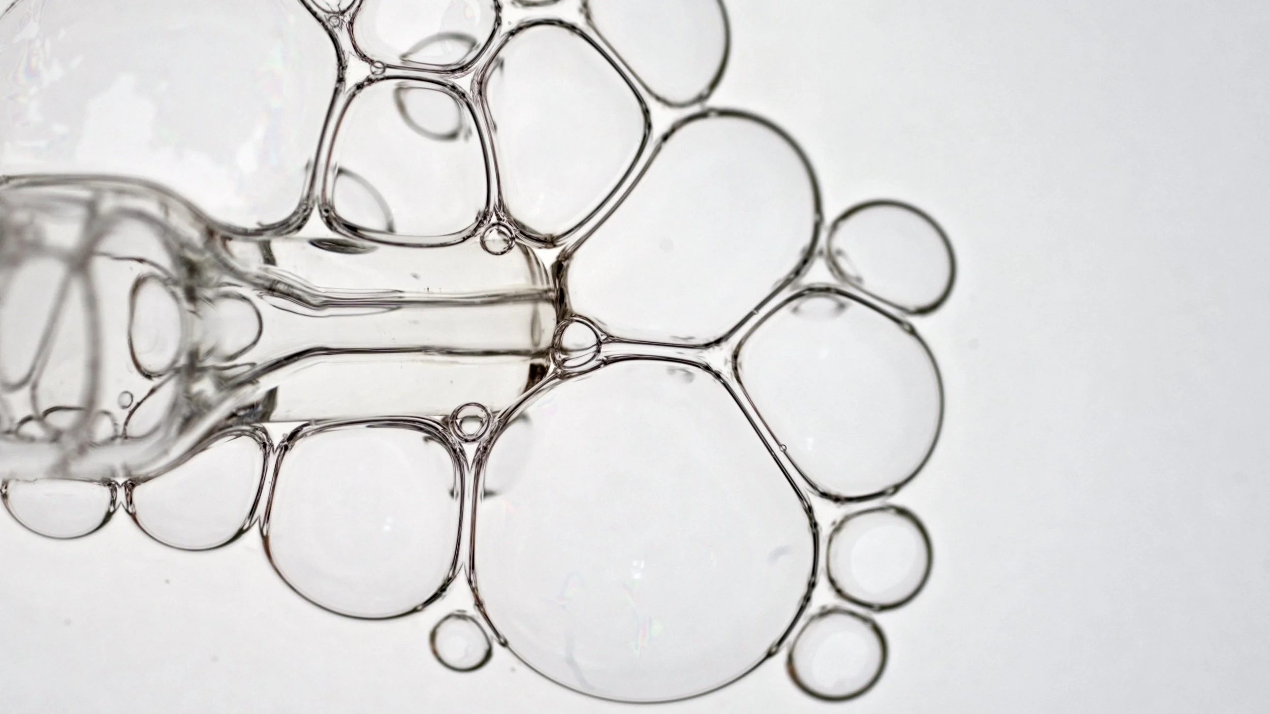 ALPEOR PRORES SANS SOUS TITRES.00_00_31_24.Still006.jpg