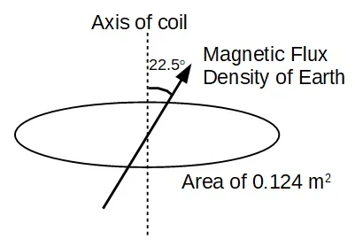 Maeen-03.jpg