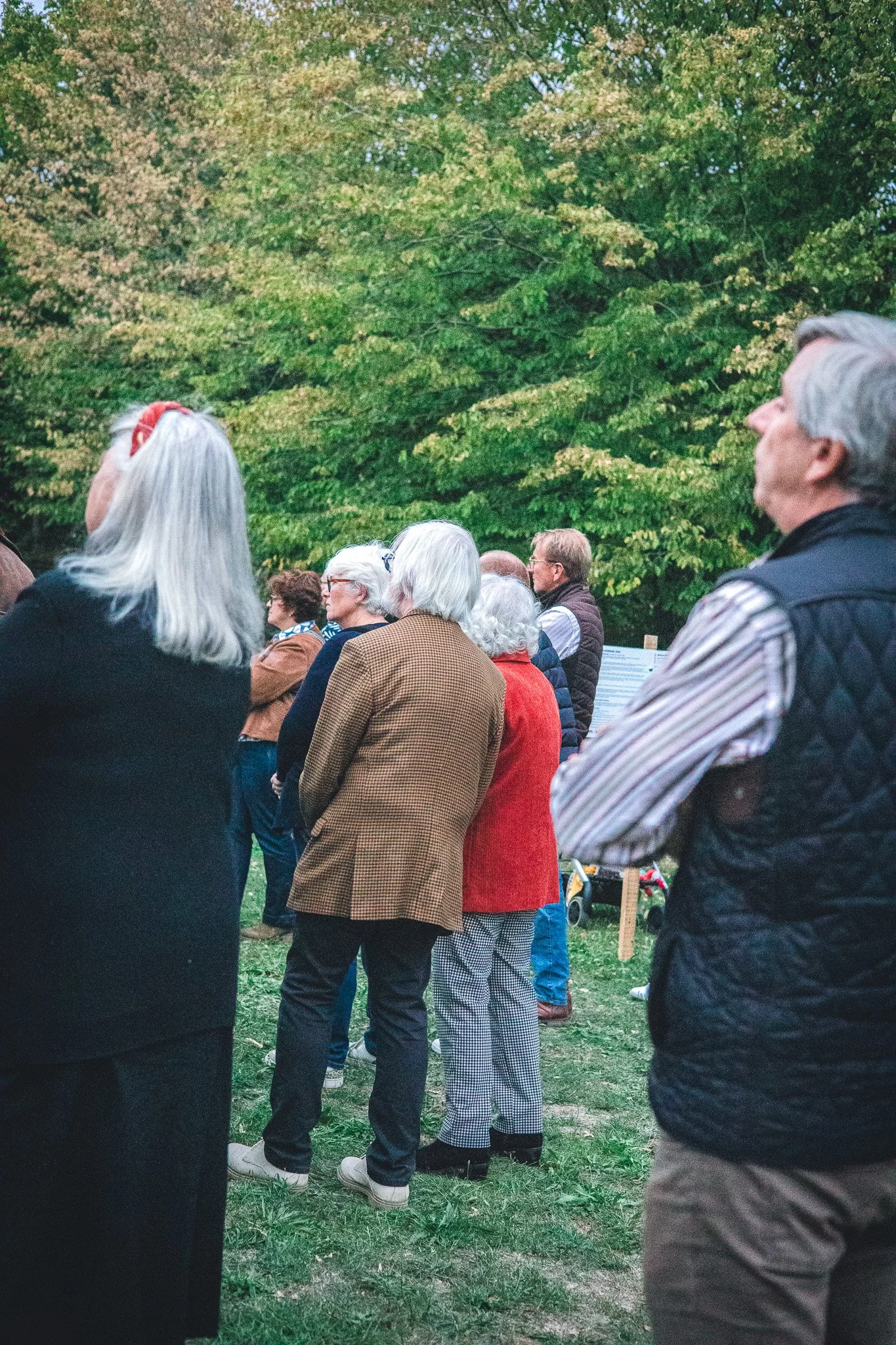 Un groupe de personnes âgées, principalement des femmes, assises ou debout sur l'herbe dans un parc, regardant dans la même direction, avec des arbres verts en arrière-plan.