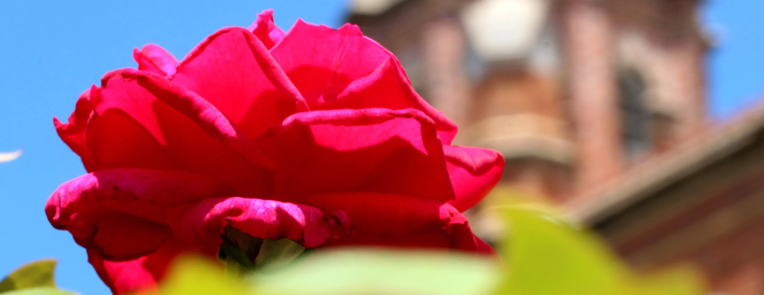 IMG_9126crop.jpg