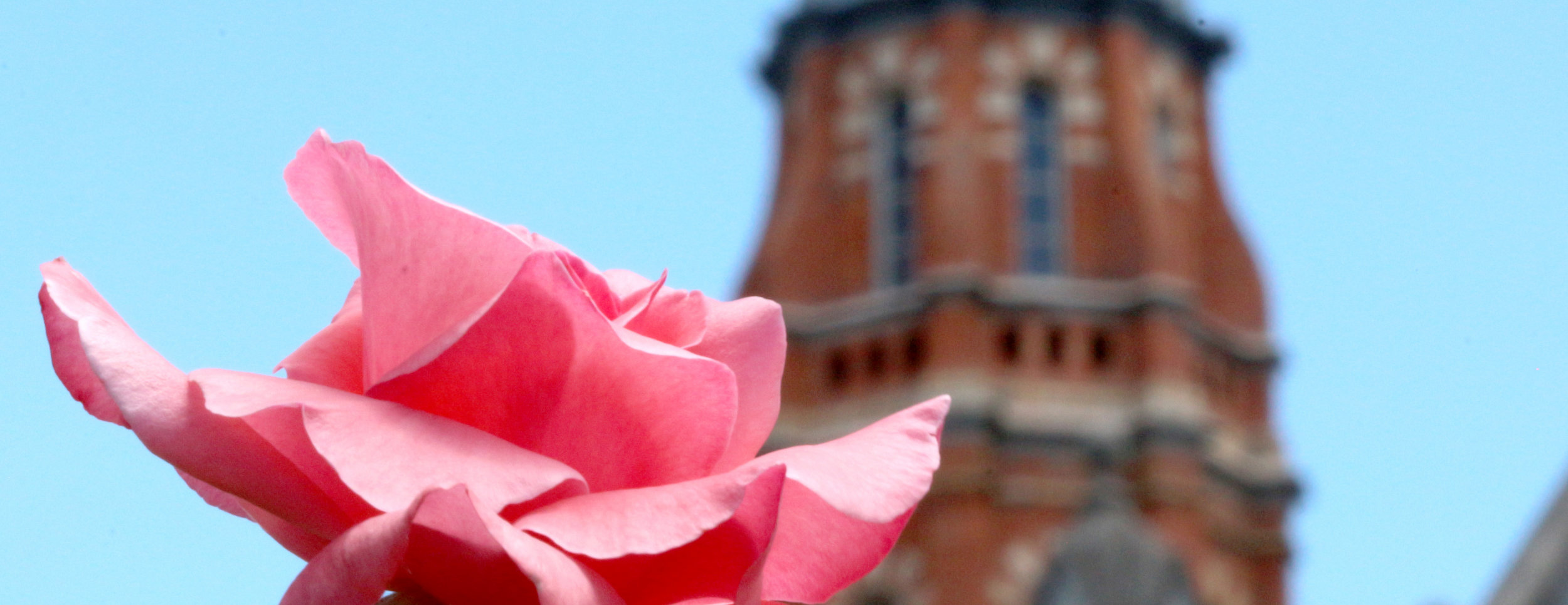 IMG_9429crop.jpg
