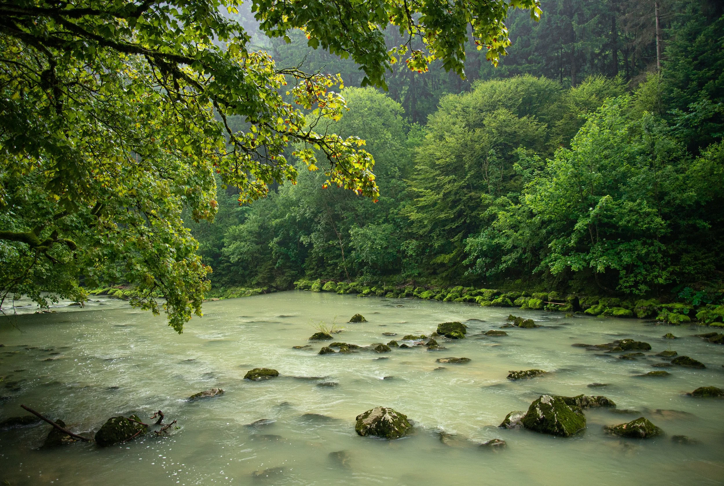 DSC_3095.jpg