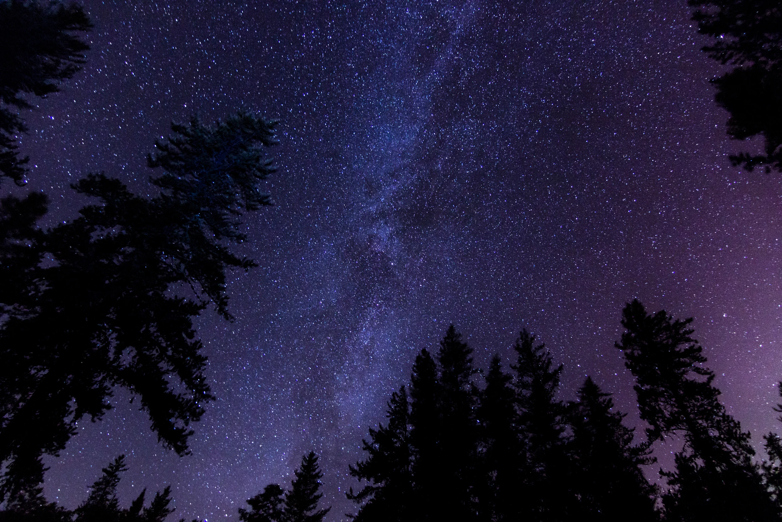 Looking Up