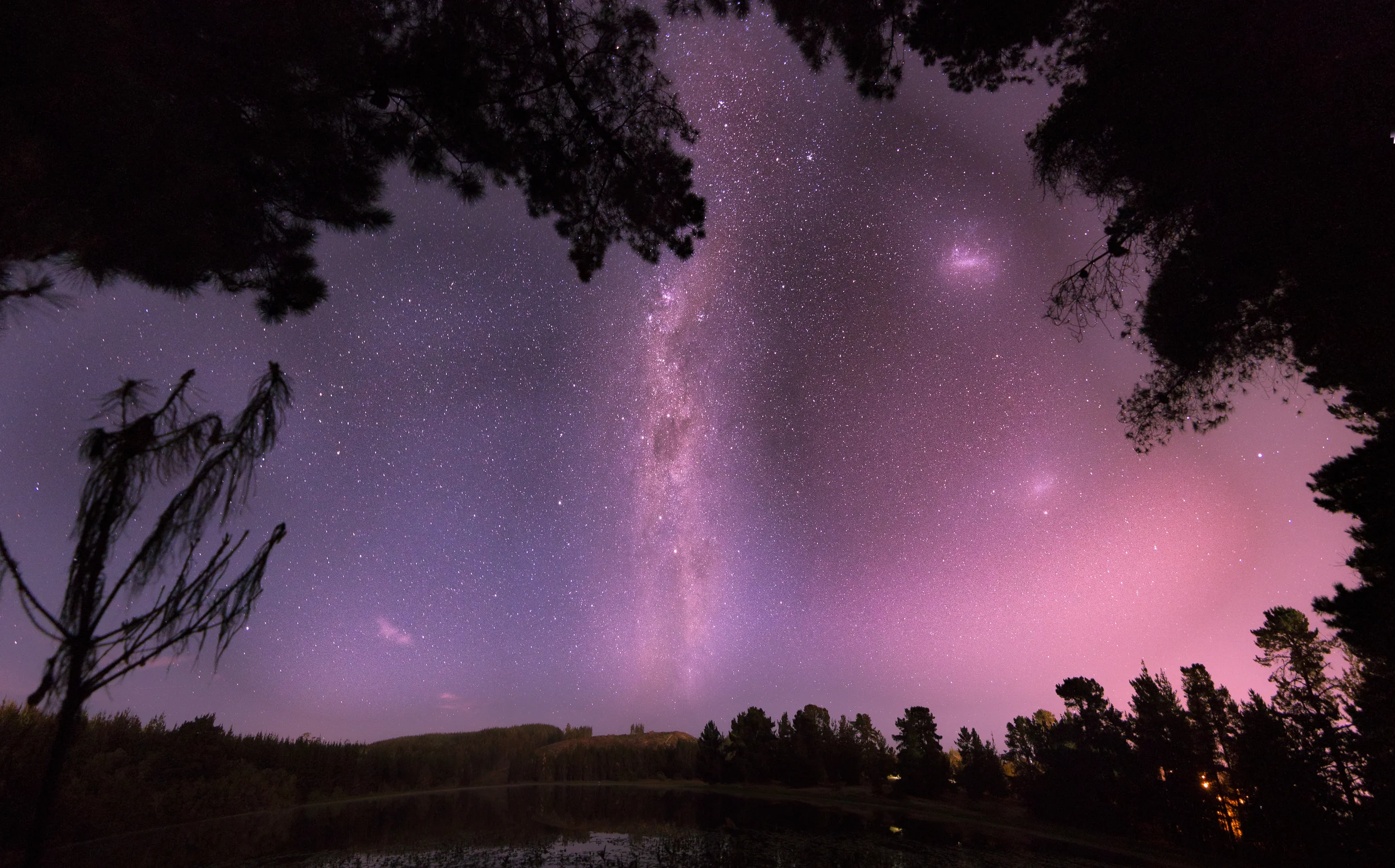 Chilean Nights