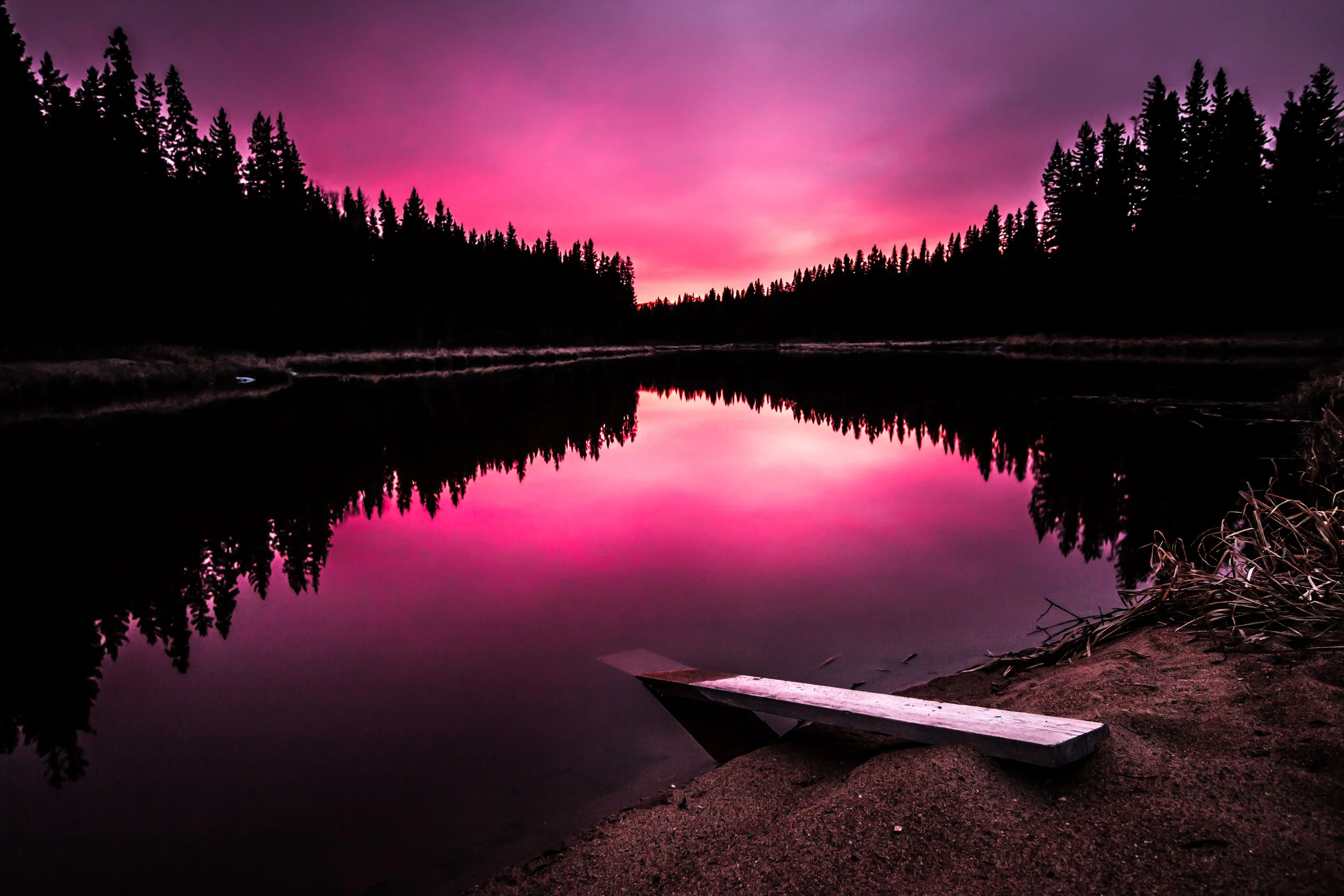 Rose Creek