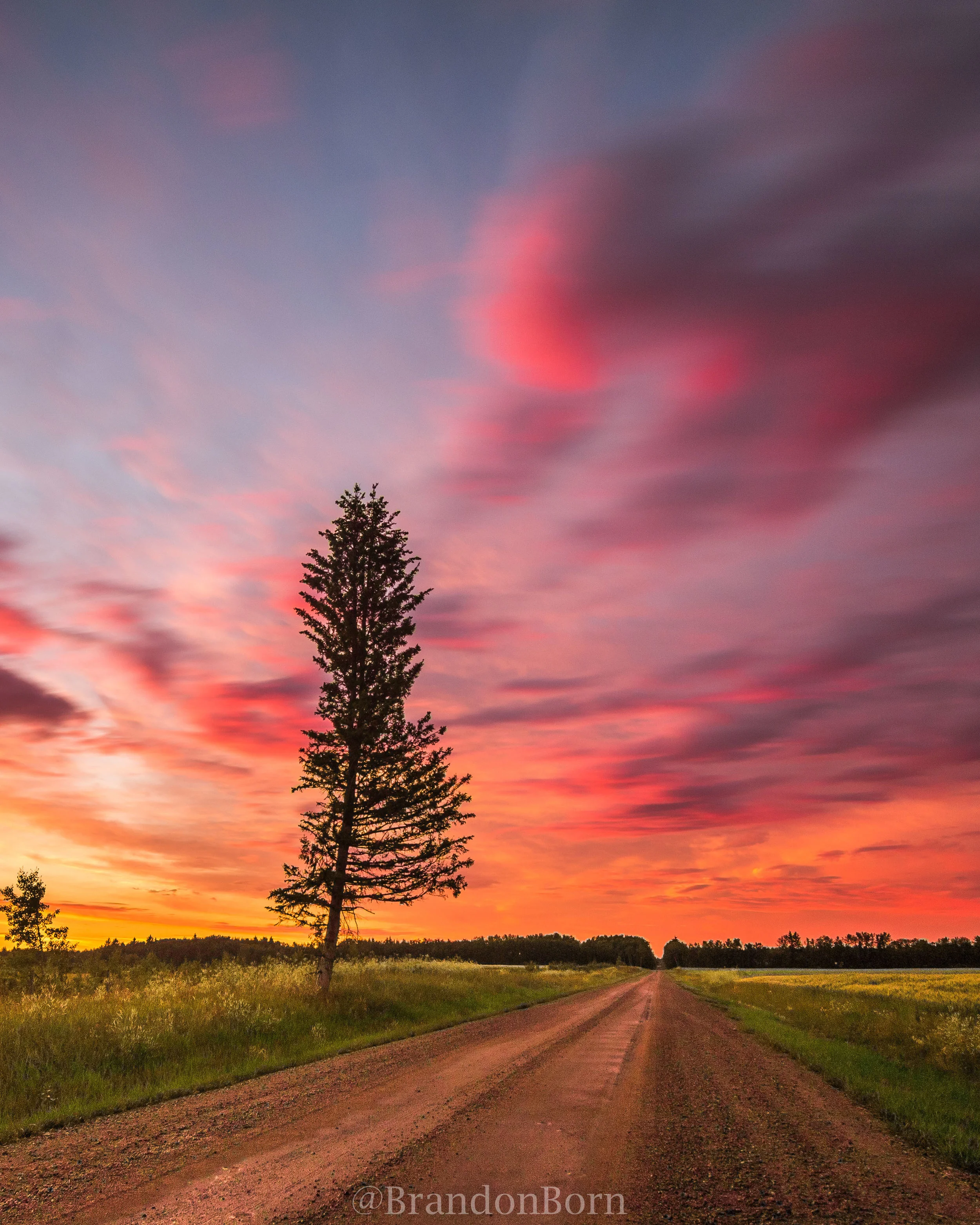 Alone on the road (Vertical)
