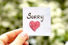 Sorry.  Not Sorry:  The Gift of Apology