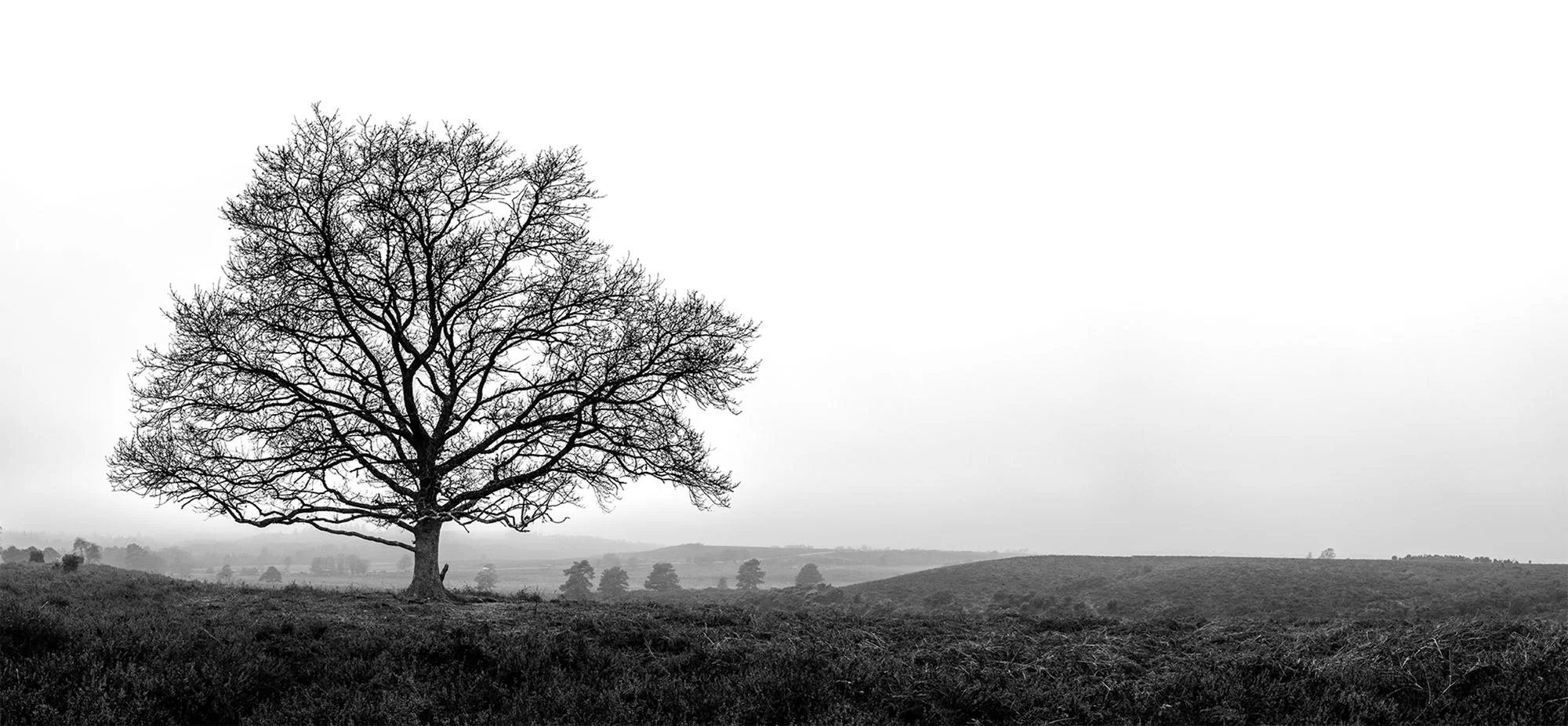 _1011717-Pano copy.jpg