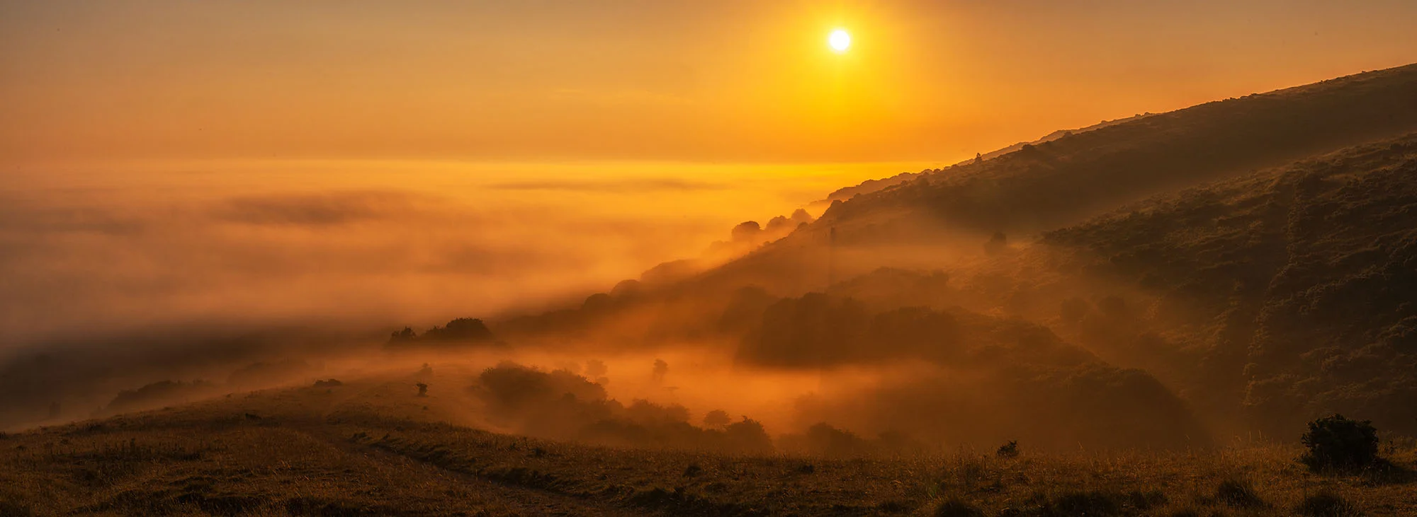 Foggy sunrise.jpg