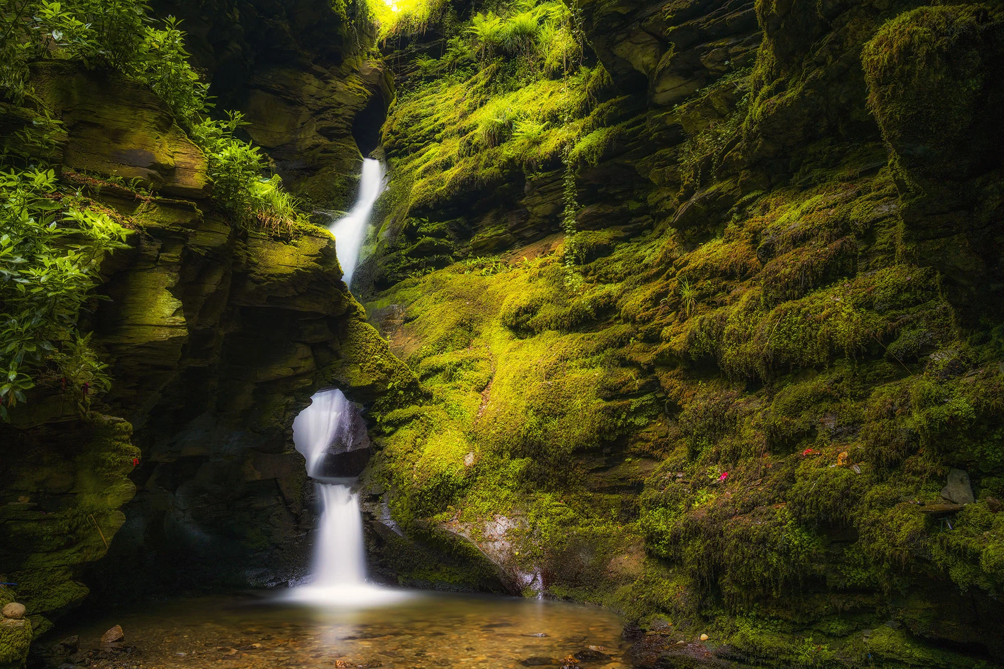 Nectans glen web2.jpg