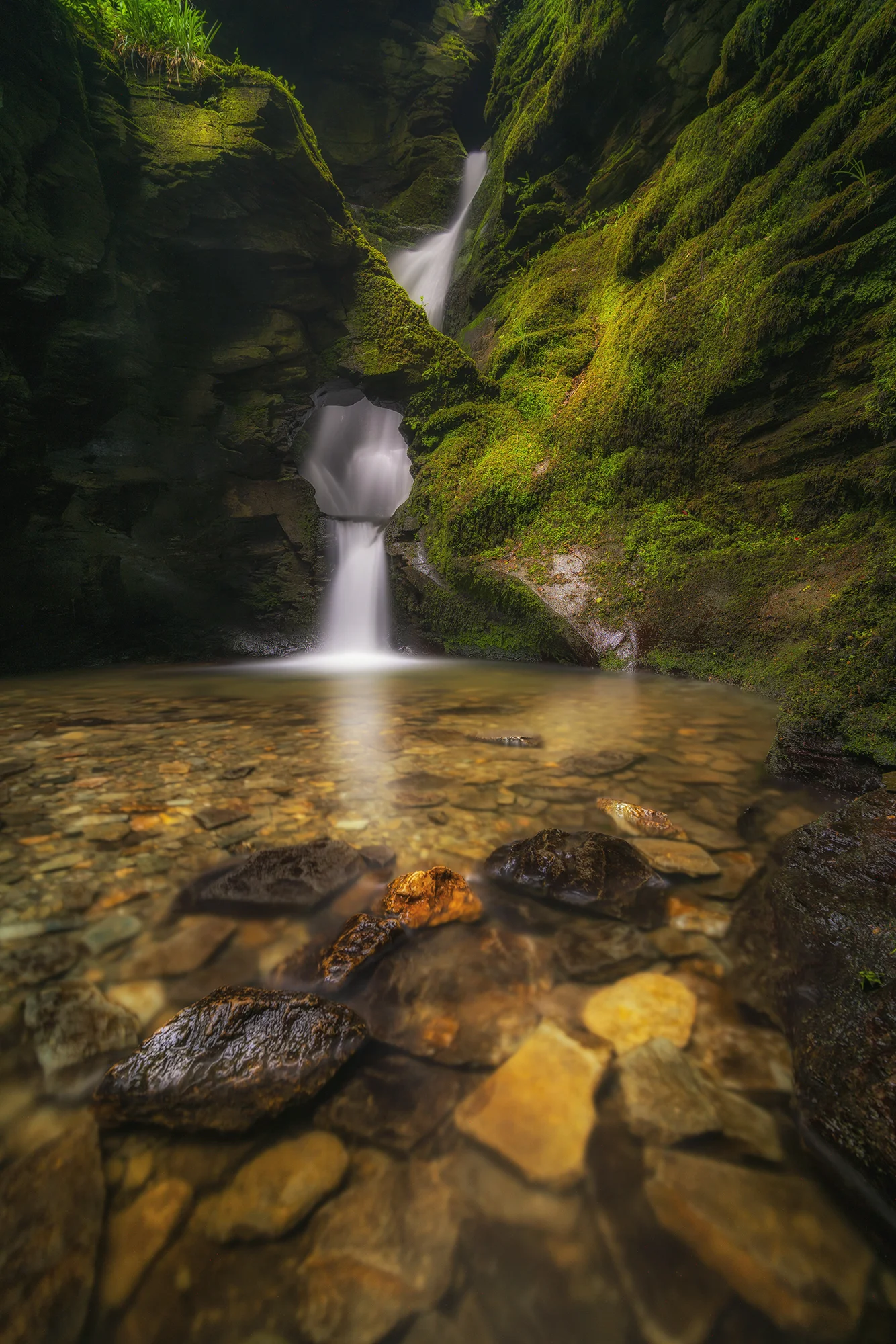 Nectans glen web.jpg