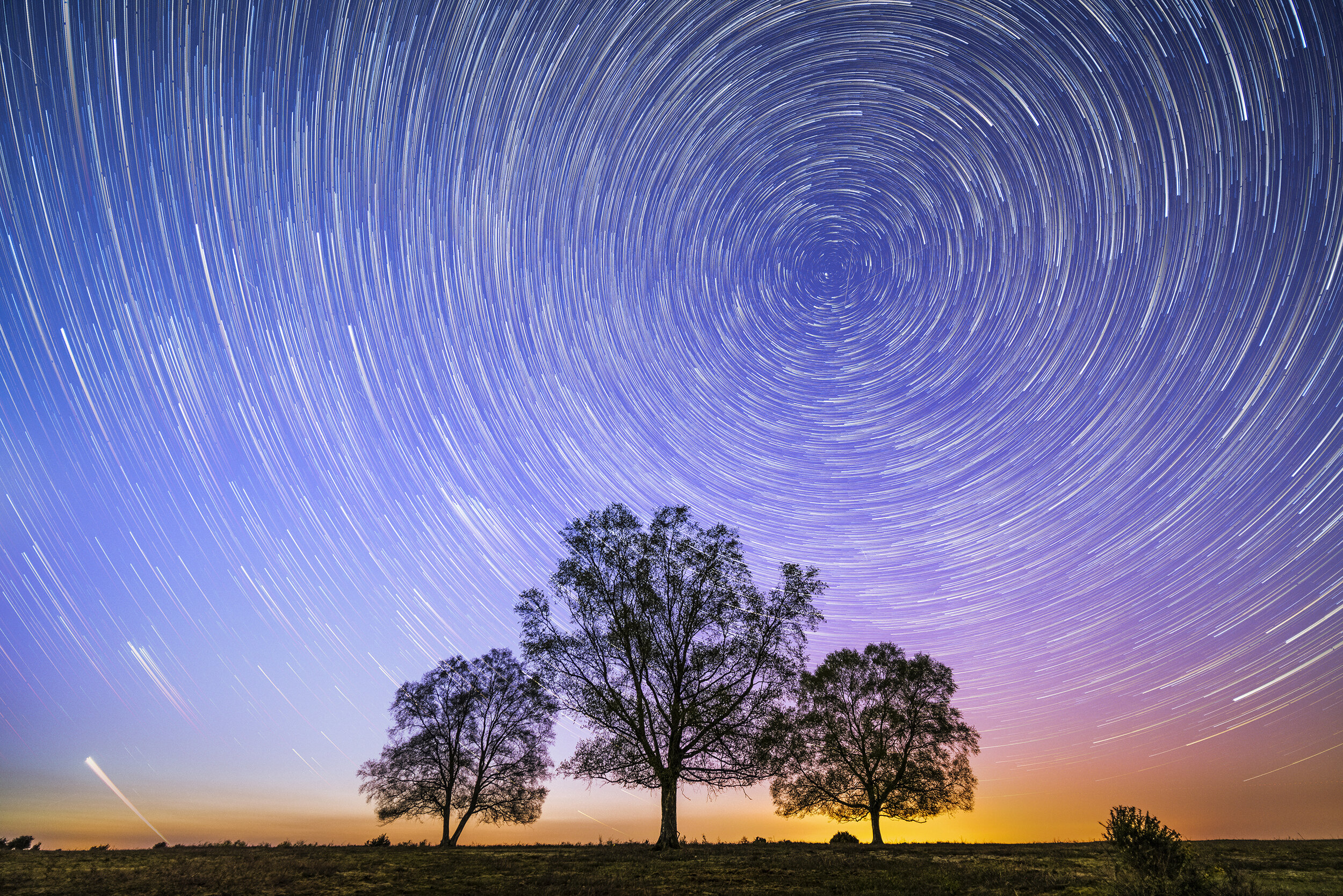 Three Tree Star Trail - f/2 x 220