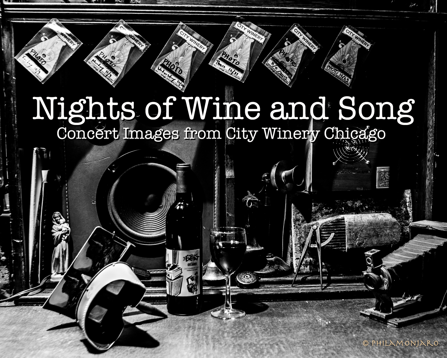 CW Nights of Wine and Song Cover w text-0006 copy copy.jpg