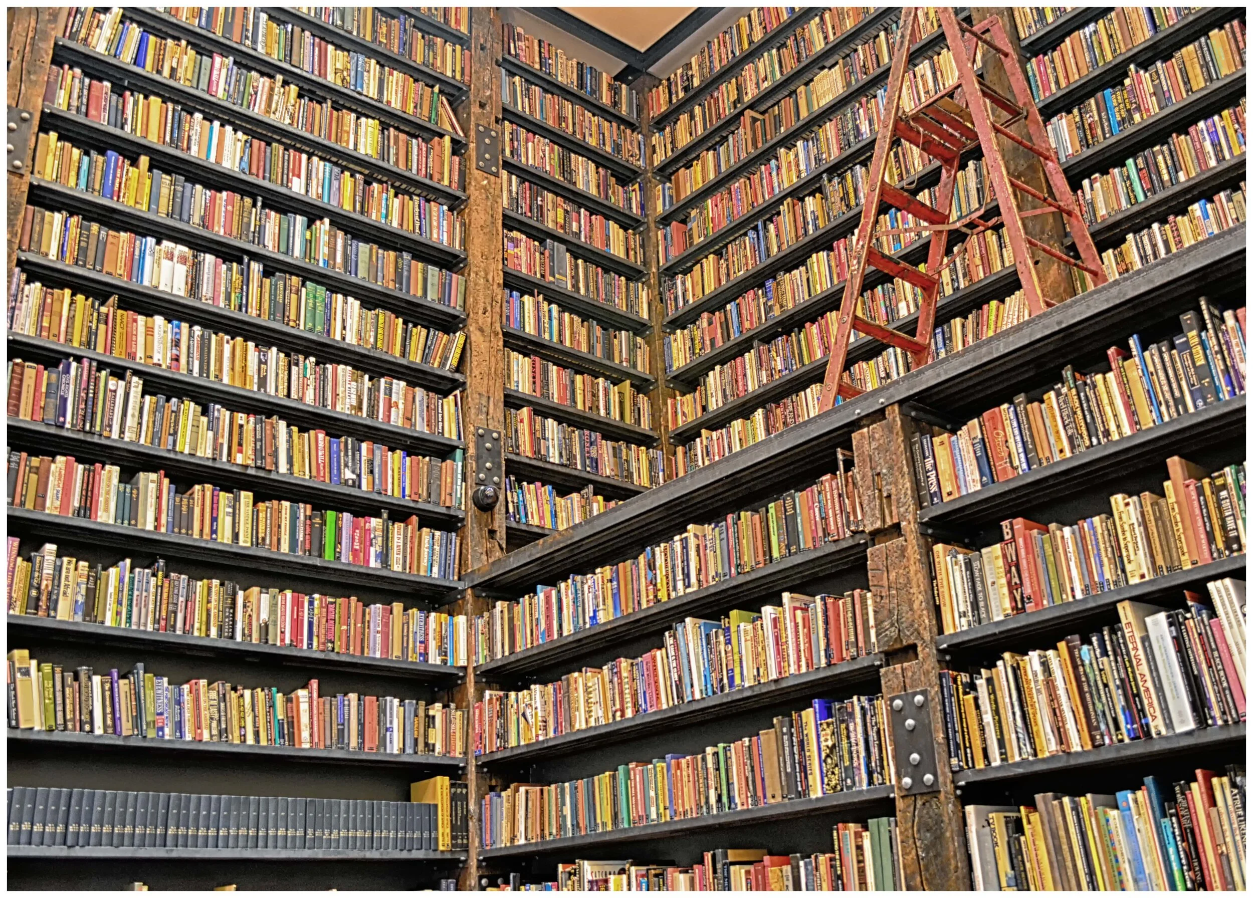 Stony Island Arts Bank 1 wo Logo.jpg