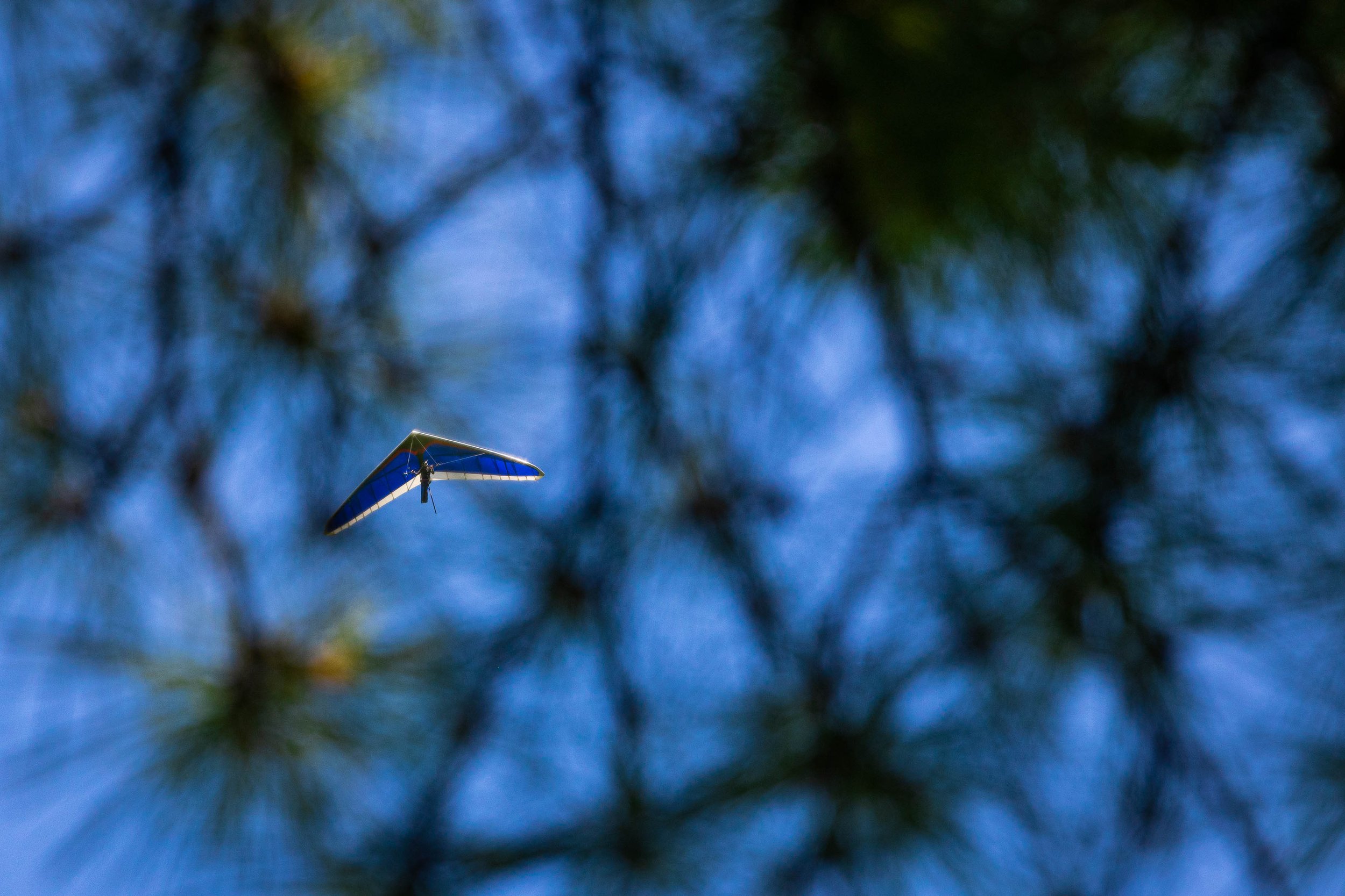  Hang Gliding Flight Park Lookout Mountain, Tennessee 