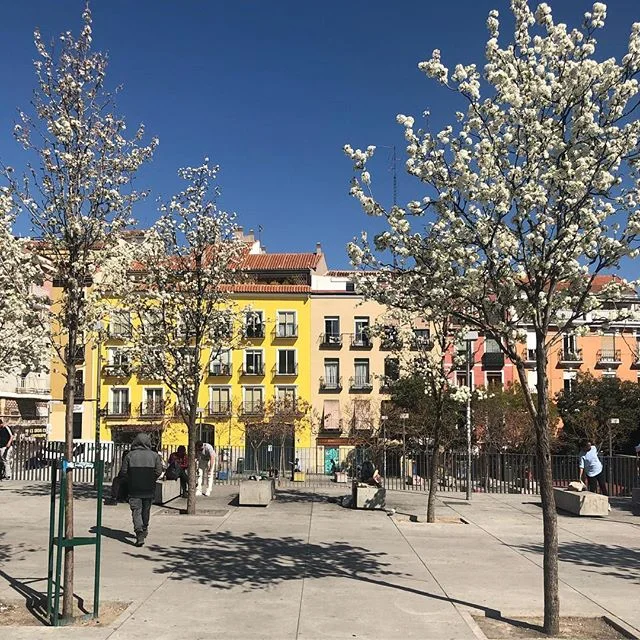 today someone asked me if i lived here and i said yes