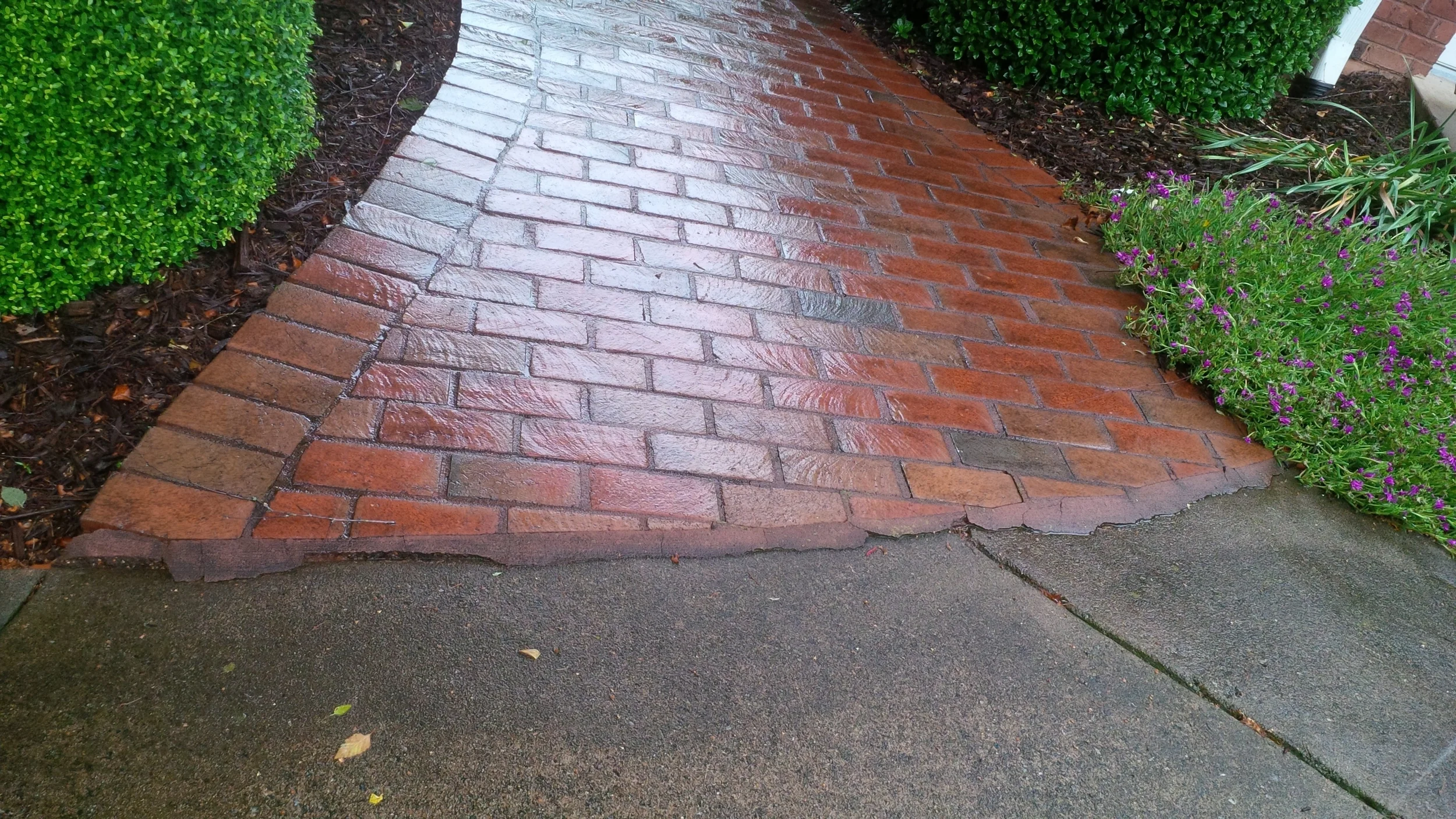 AFTER Brick Paver Cleaning