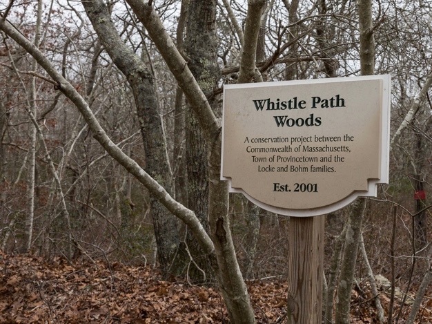 Whistle Path Woods
