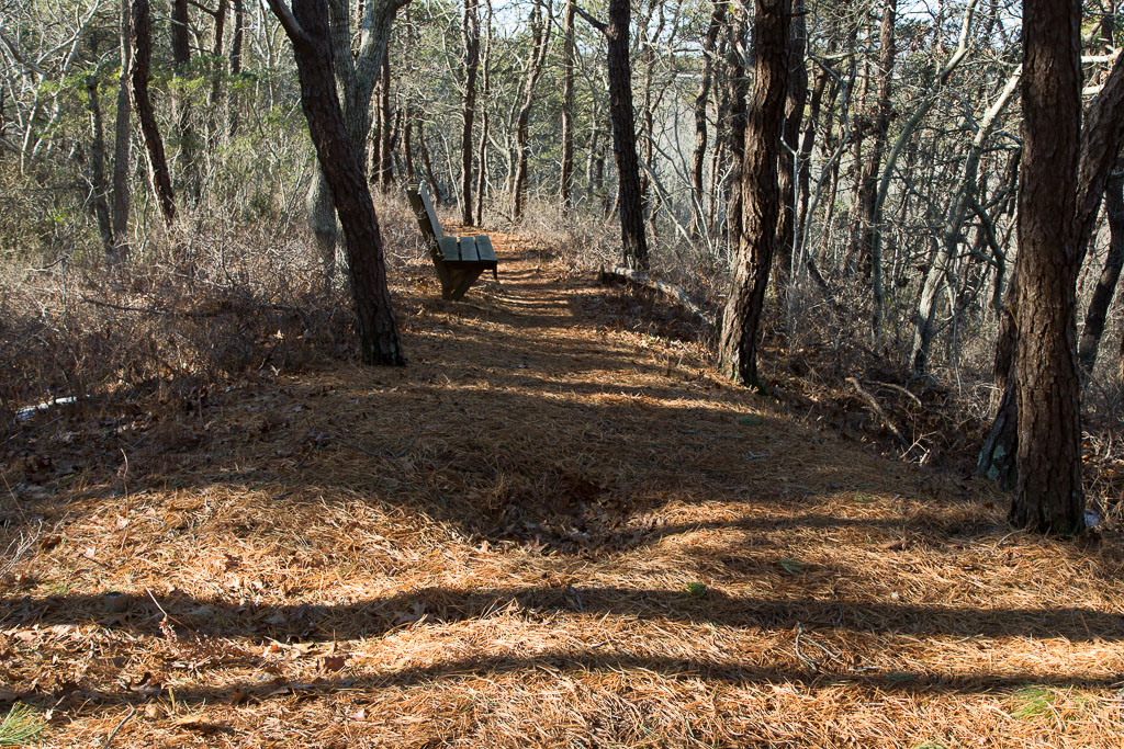 Nicky's Park — Provincetown Conservation Trust