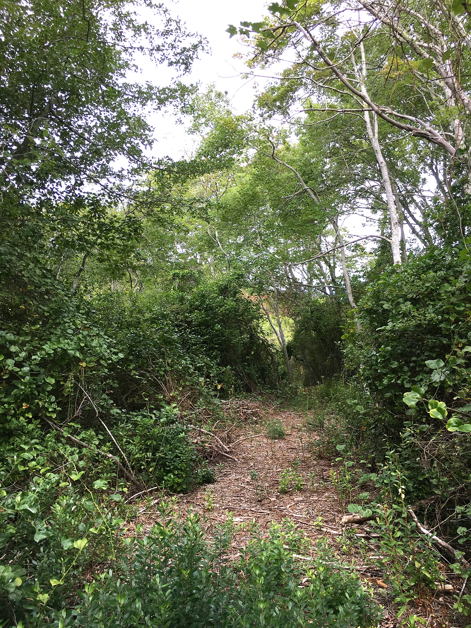 ConservationLand11_3.jpg