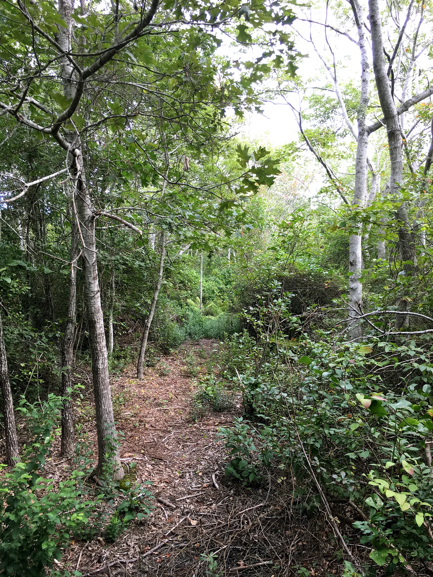 ConservationLand11_4.jpg