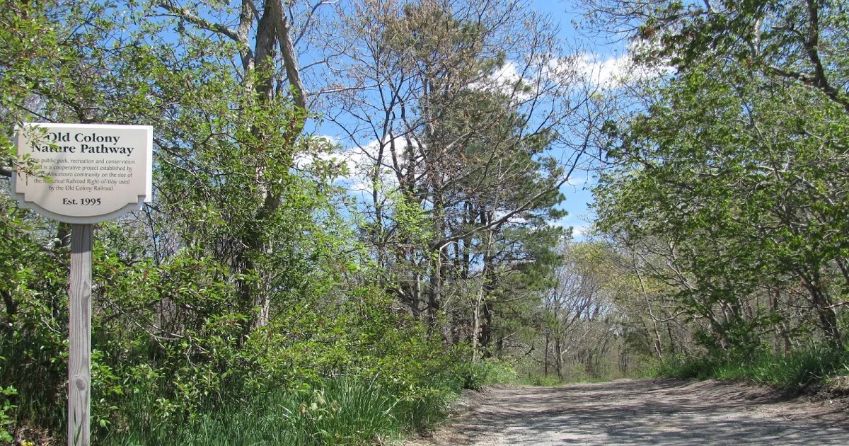 Nature Walk Series: The ecosystem along the Old Colony Nature Pathway