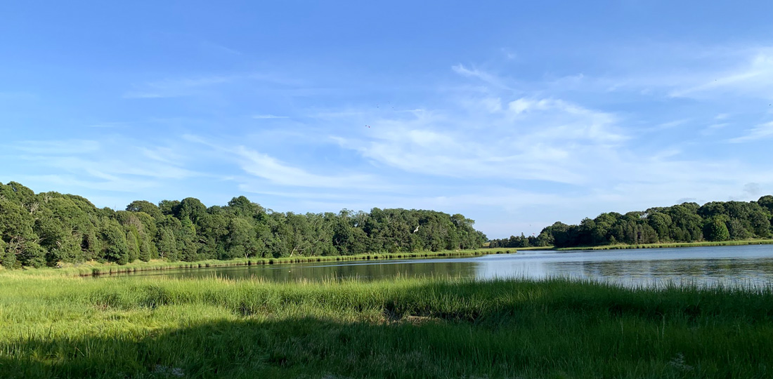 SaltPond_Eastham.jpg
