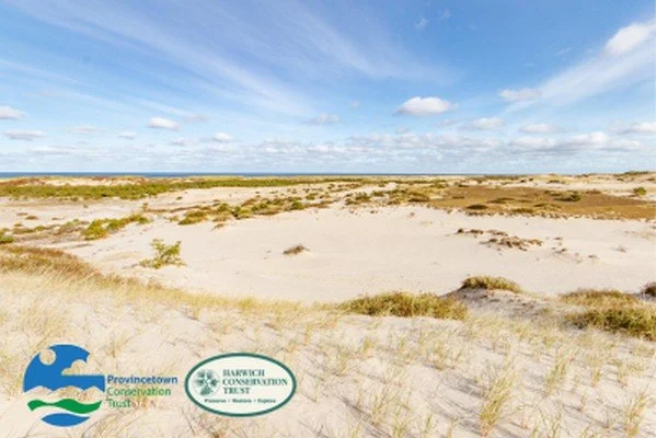 Provincetown Dune Hike